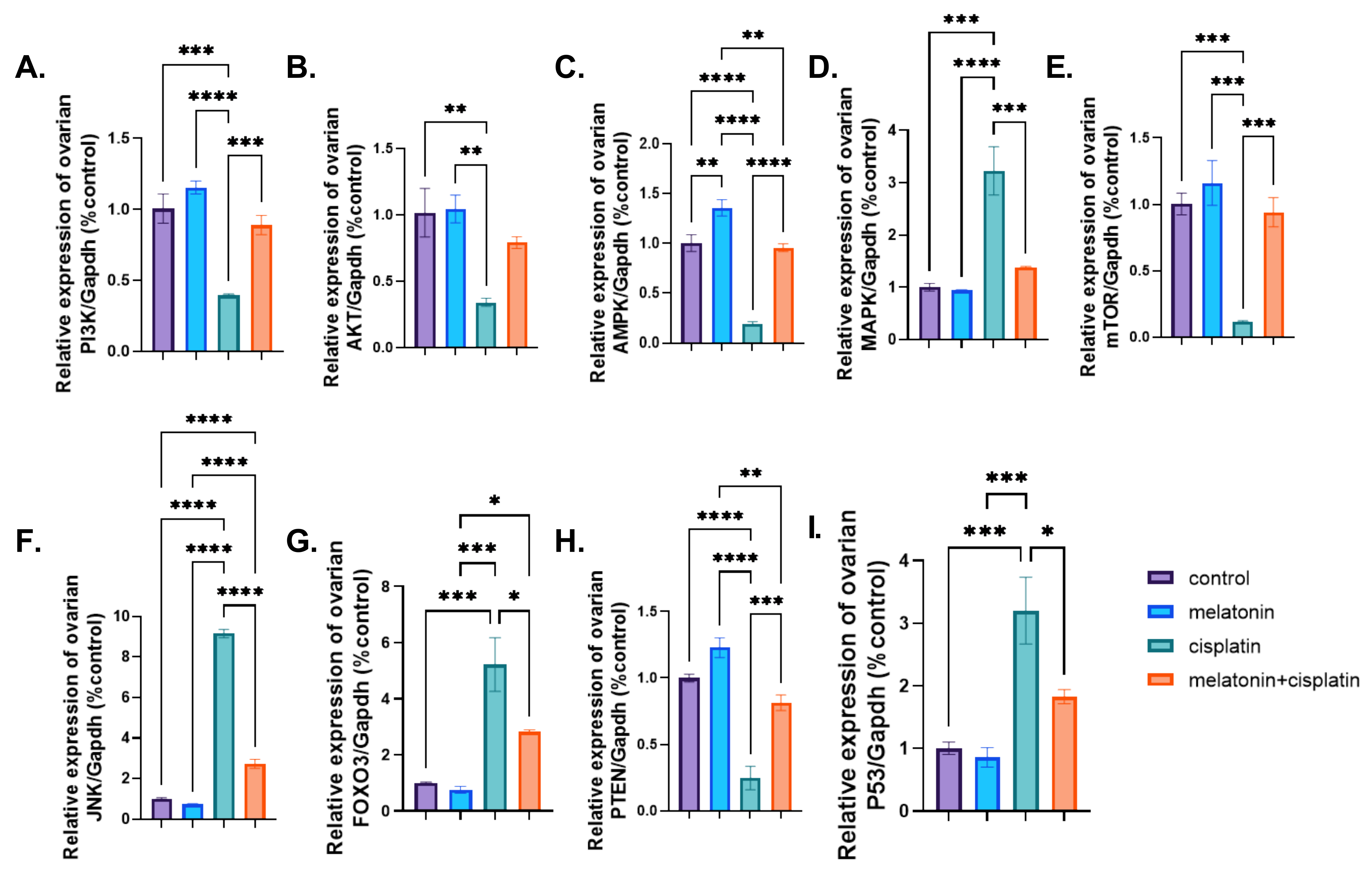 Pharmaceutics 14 02769 g012
