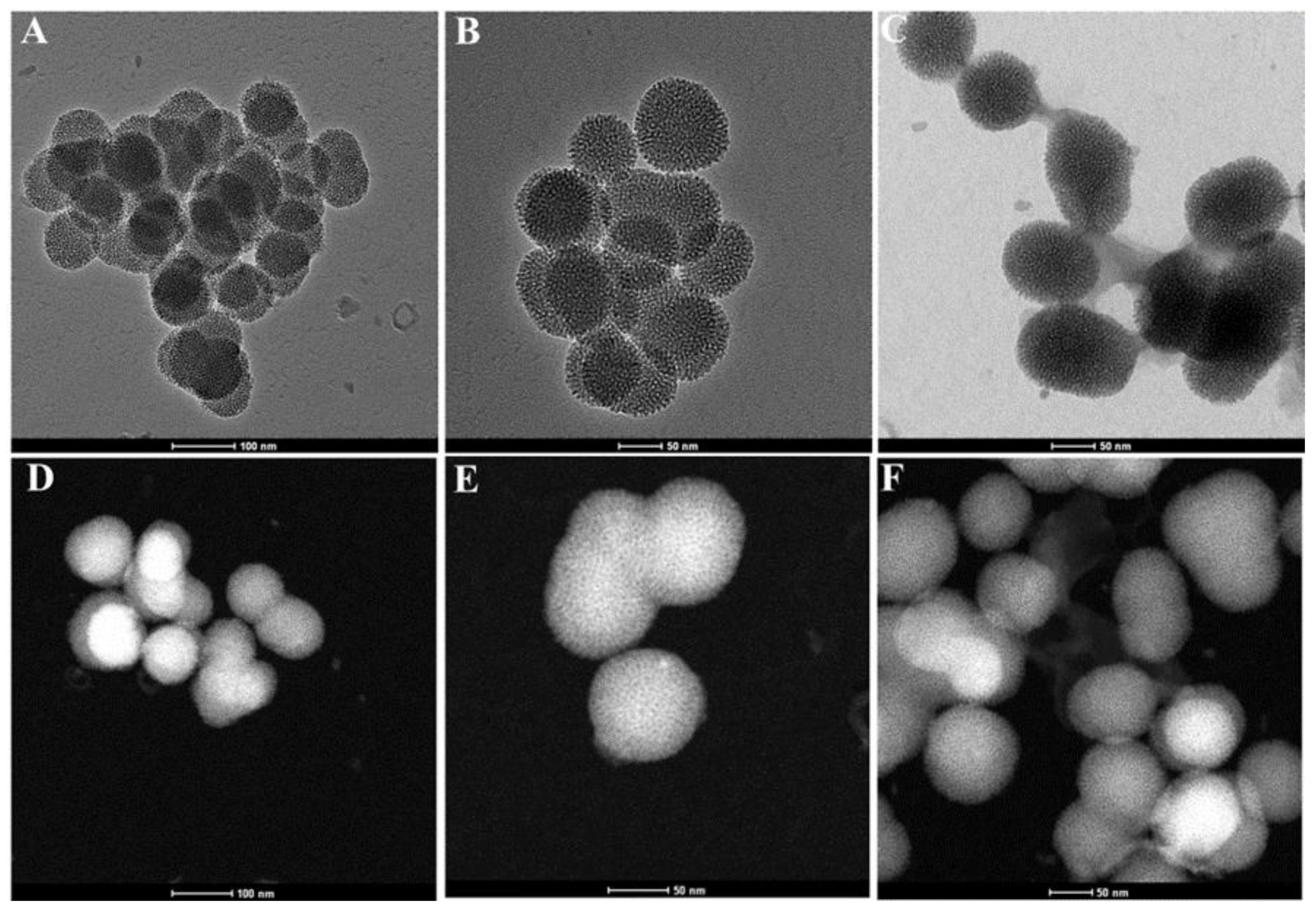 Pharmaceutics 14 02770 g001