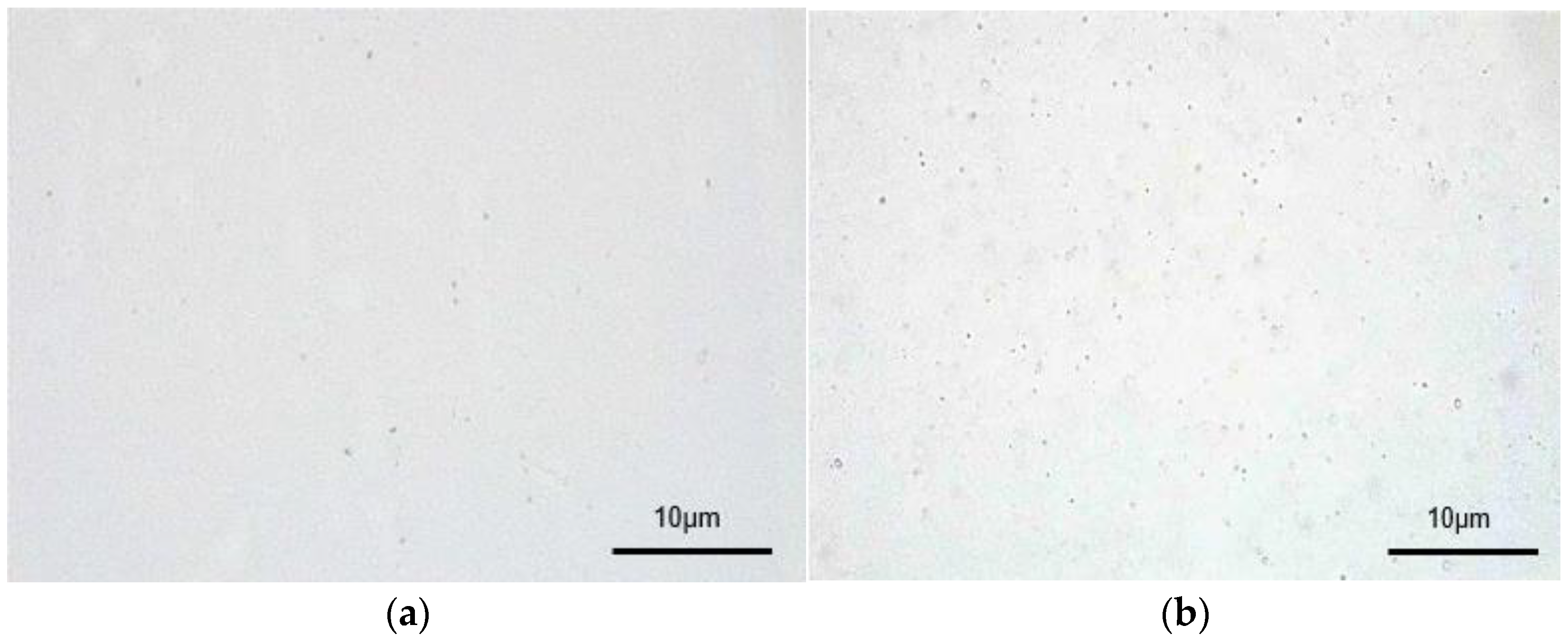 Pharmaceutics 14 02773 g001
