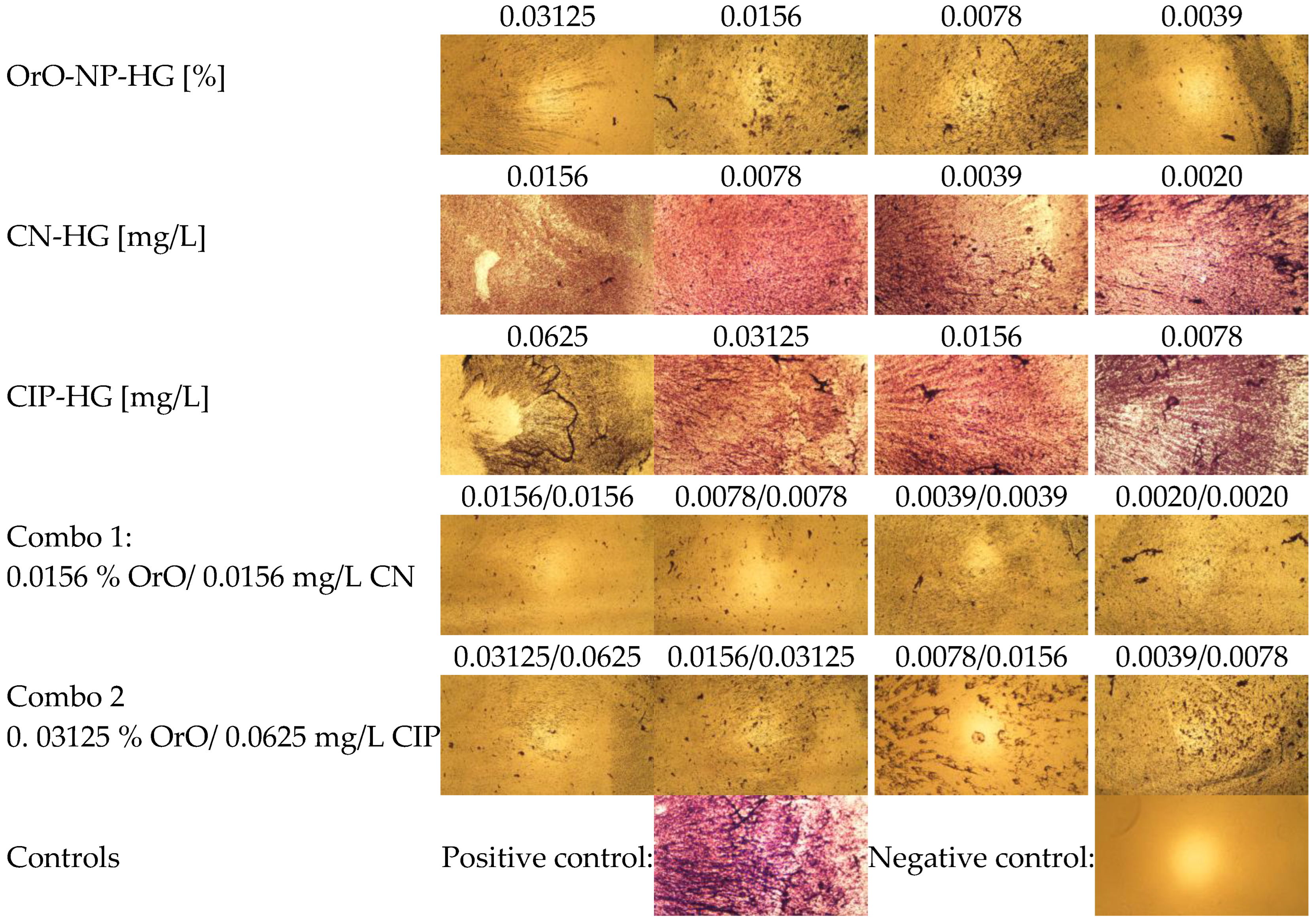 Pharmaceutics 14 02773 g007