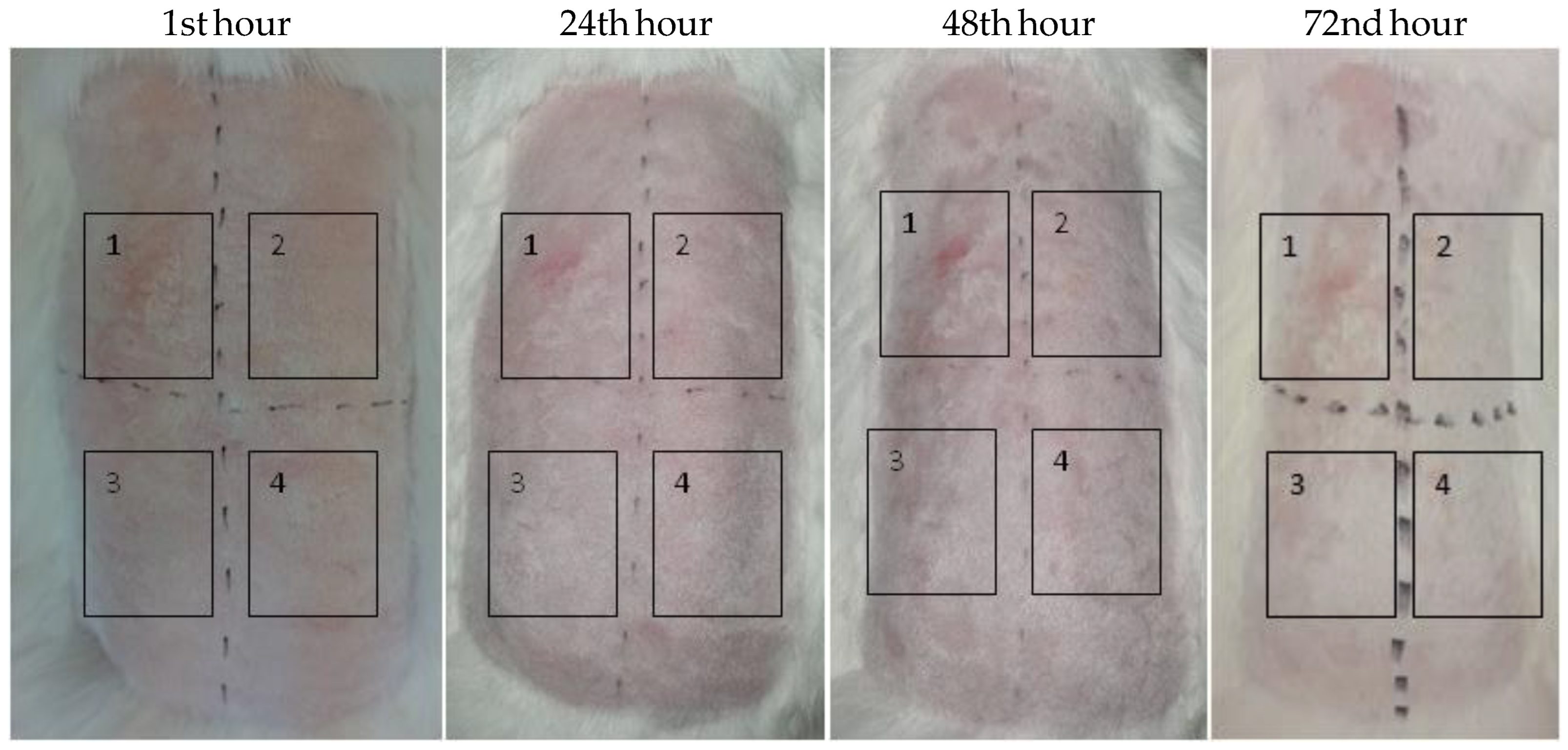 Pharmaceutics 14 02773 g008