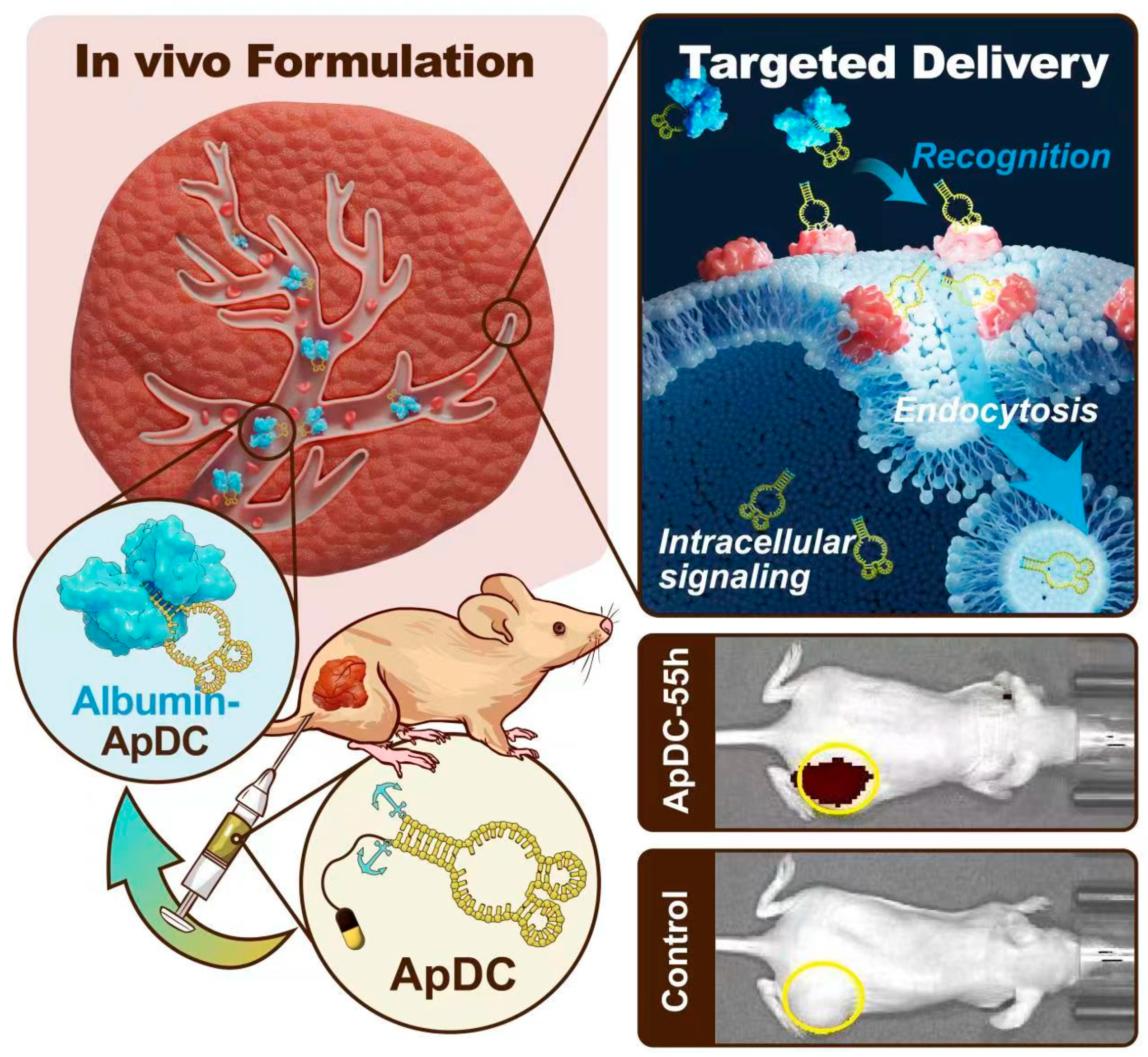 Pharmaceutics 14 02781 sch001