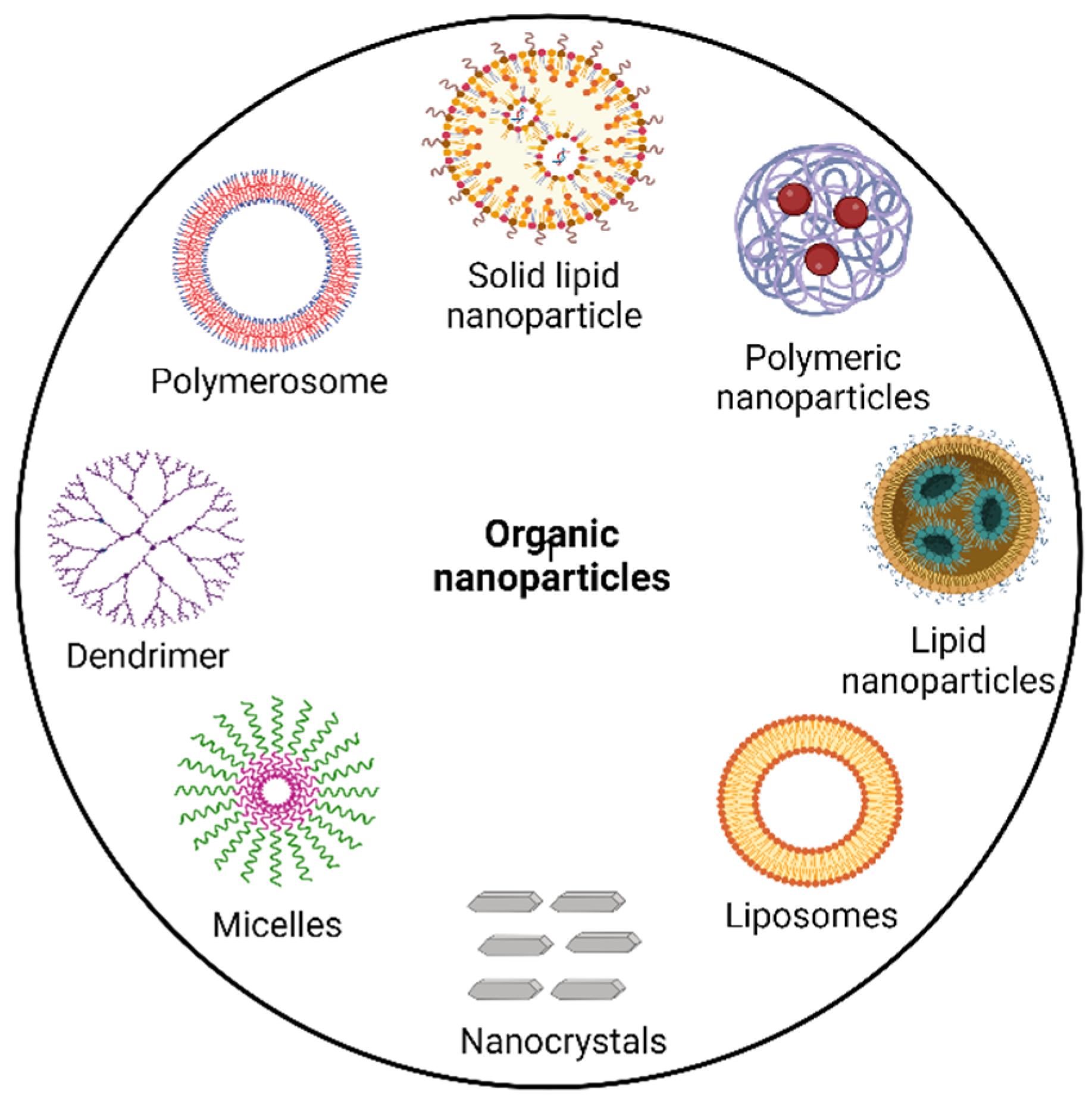 Pharmaceutics 14 02783 g001