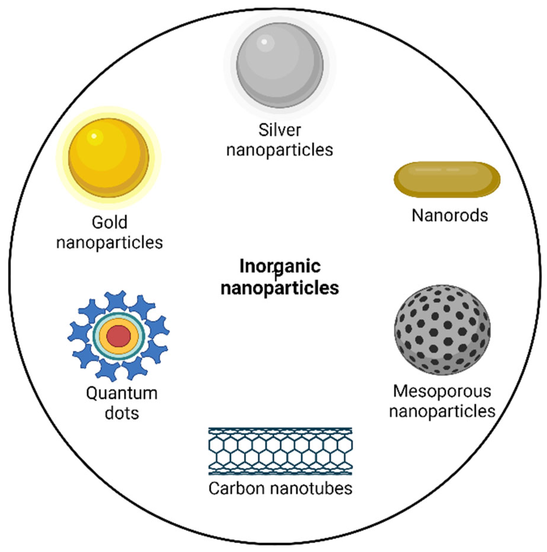 Pharmaceutics 14 02783 g002