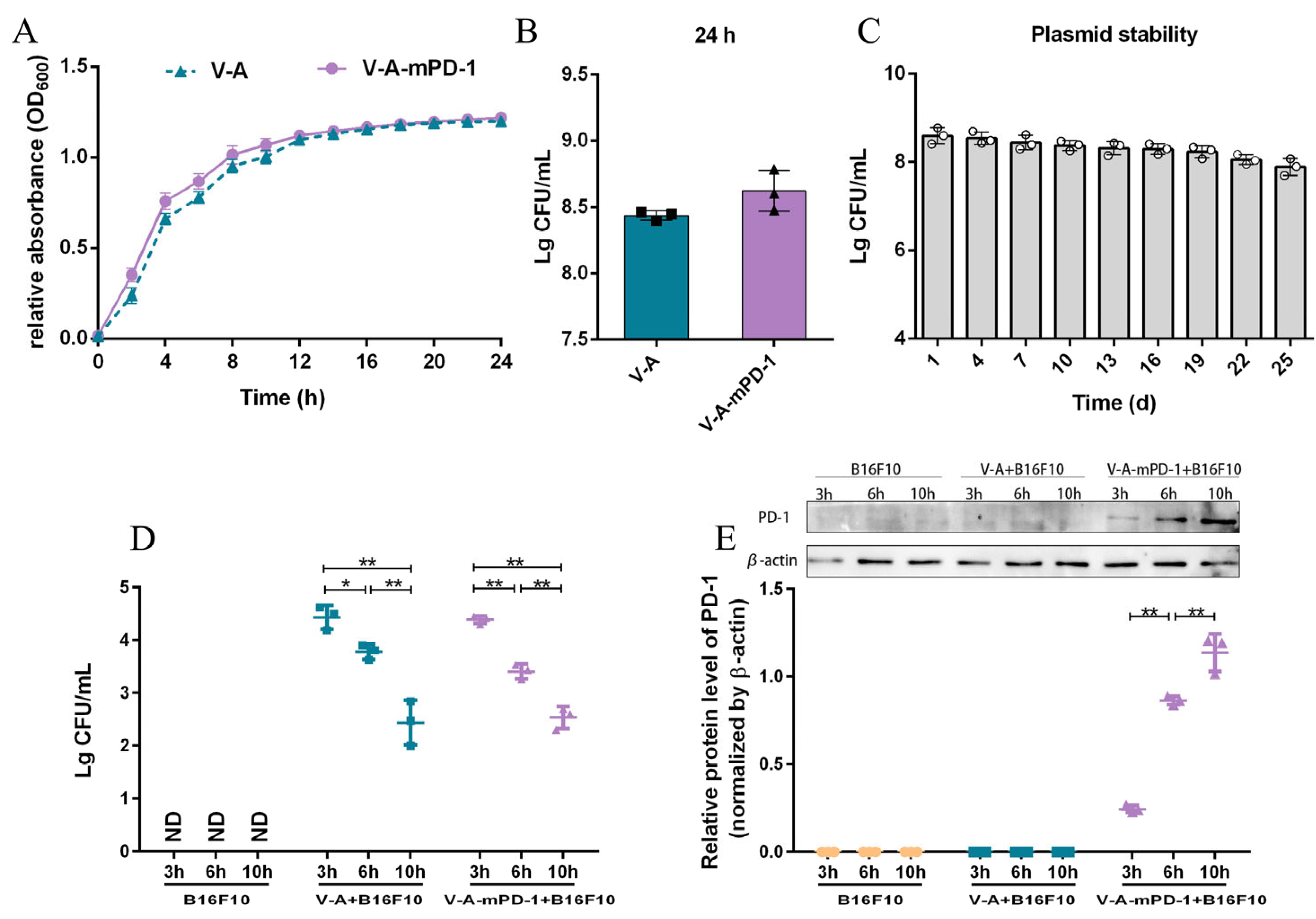 Pharmaceutics 14 02789 g001
