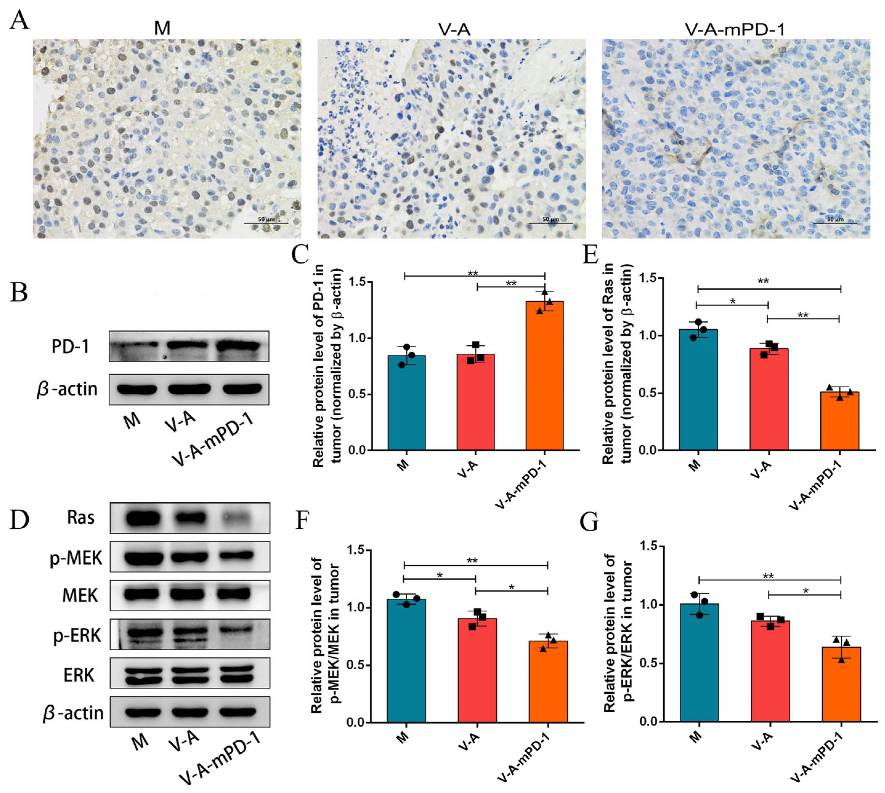 Pharmaceutics 14 02789 g003