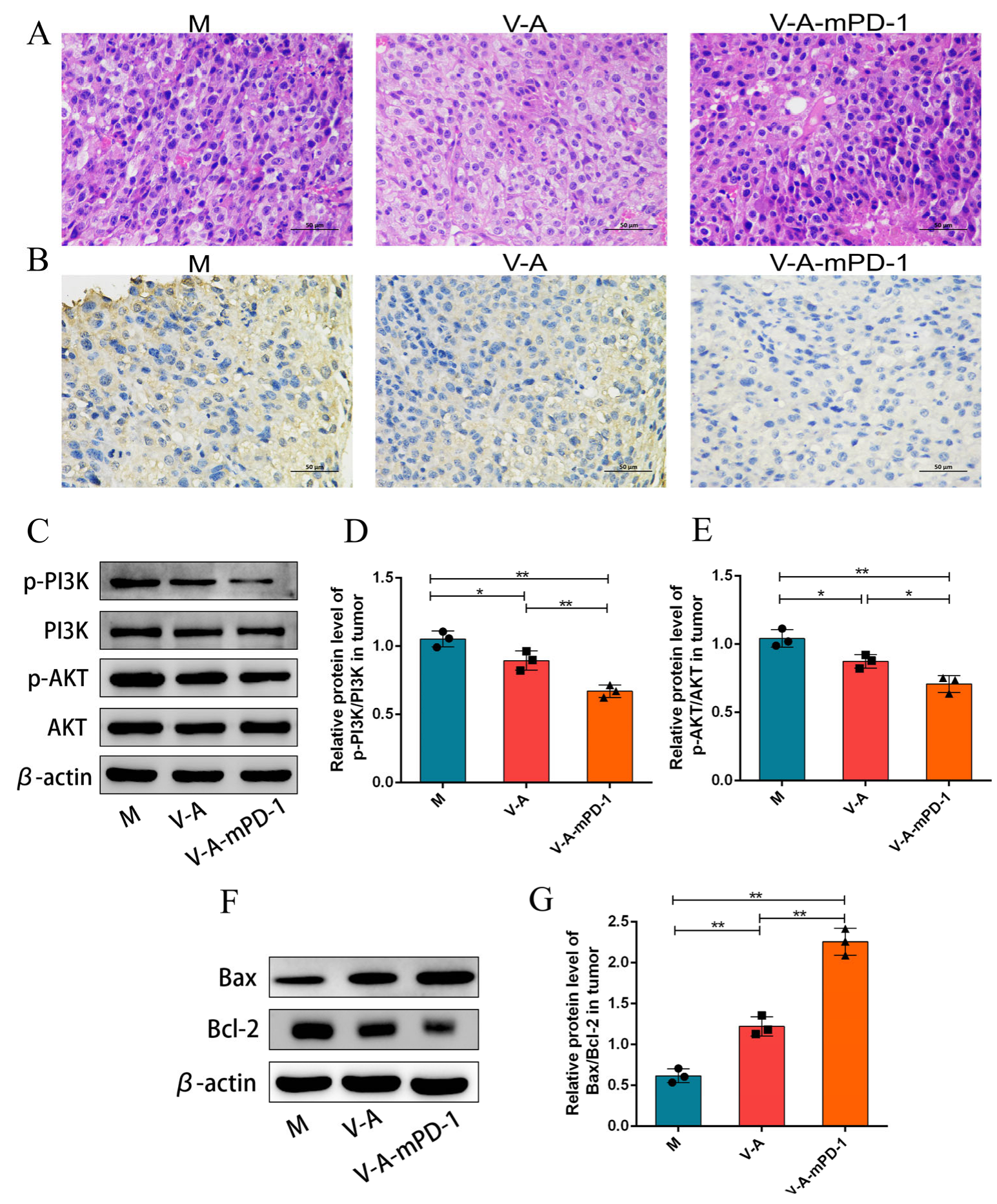 Pharmaceutics 14 02789 g004