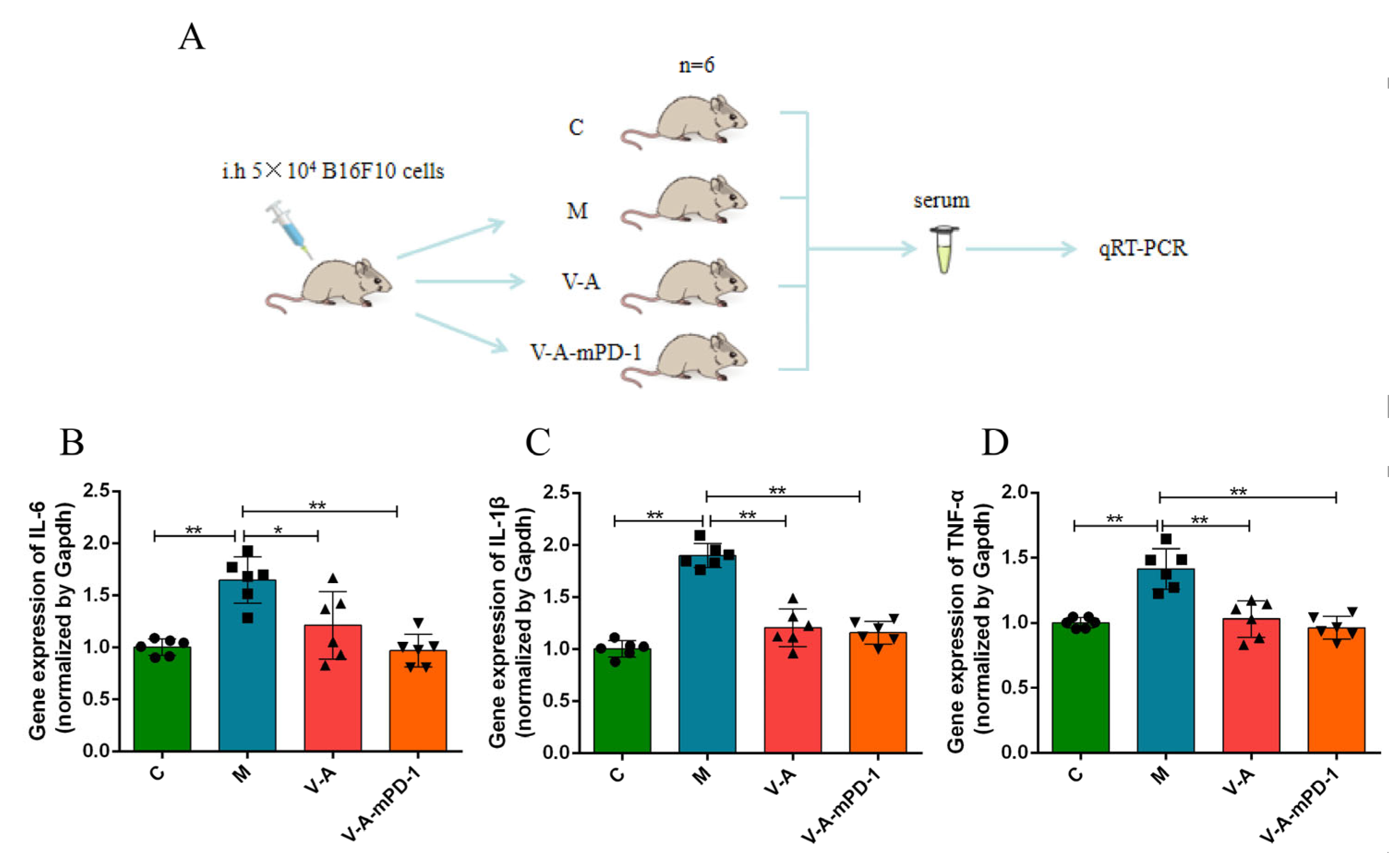 Pharmaceutics 14 02789 g005