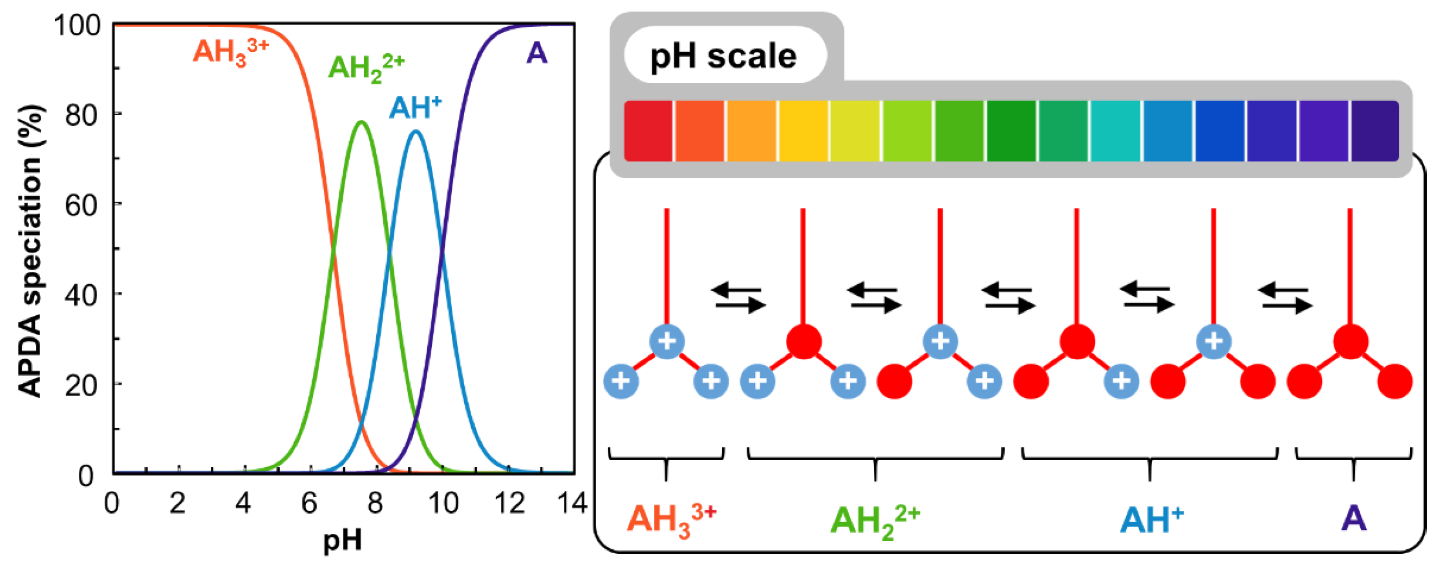 Pharmaceutics 14 02791 g002 Pharmaceutics 14 02791 g002