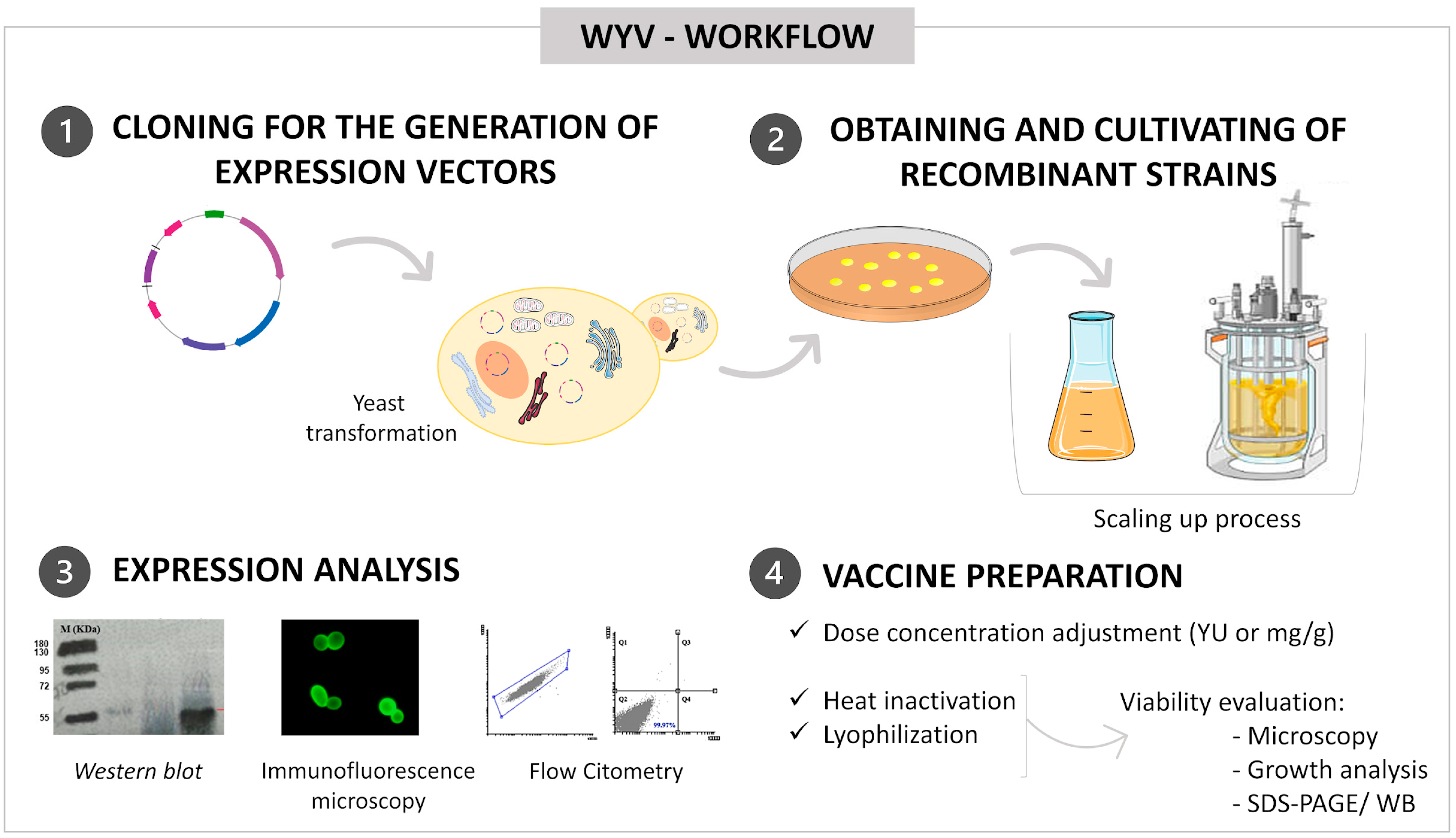 Pharmaceutics 14 02792 g002