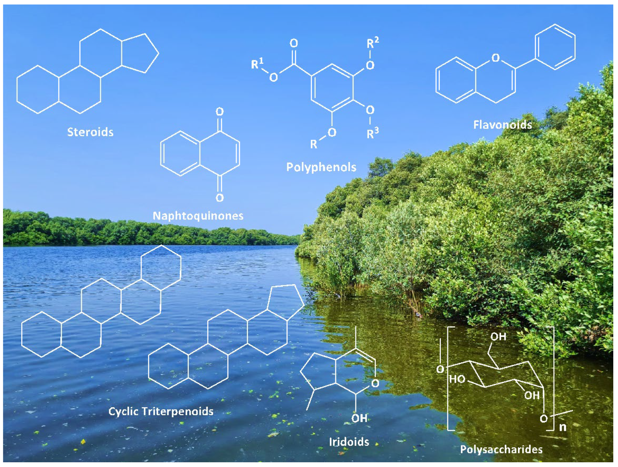 Pharmaceutics 14 02793 g001 Pharmaceutics 14 02793 g001