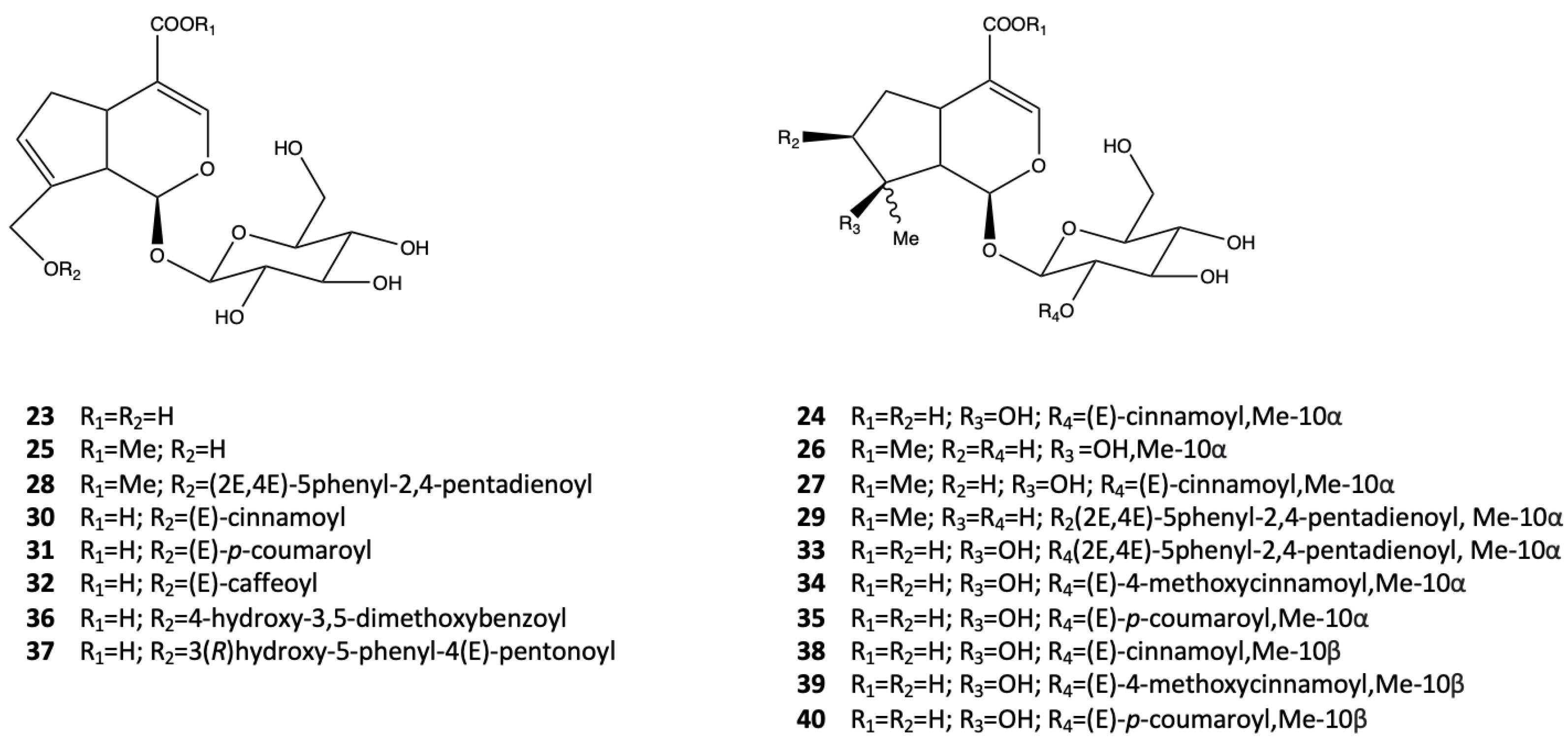 Pharmaceutics 14 02793 g004 Pharmaceutics 14 02793 g004