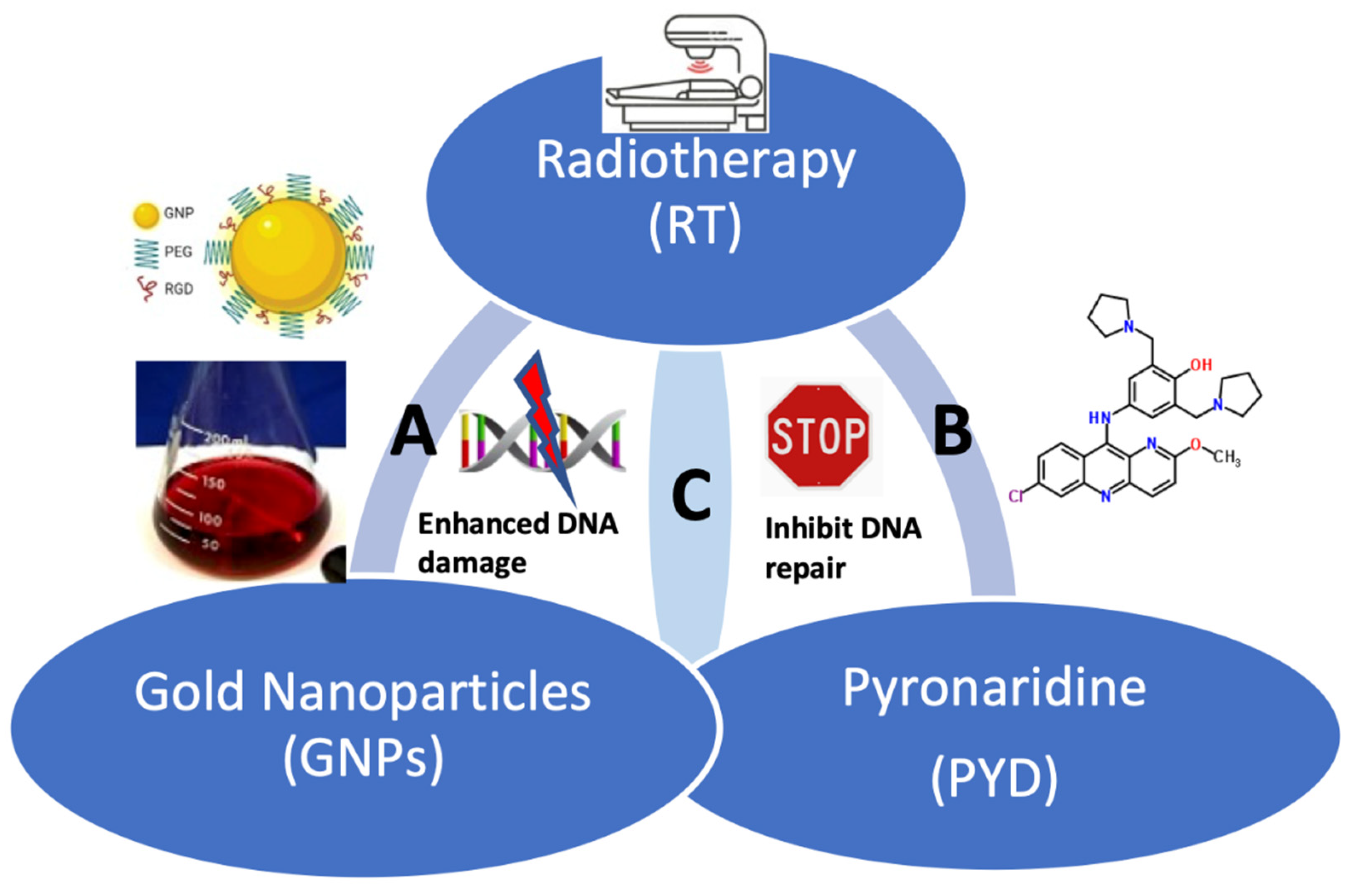 Pharmaceutics 14 02795 g001 Pharmaceutics 14 02795 g001
