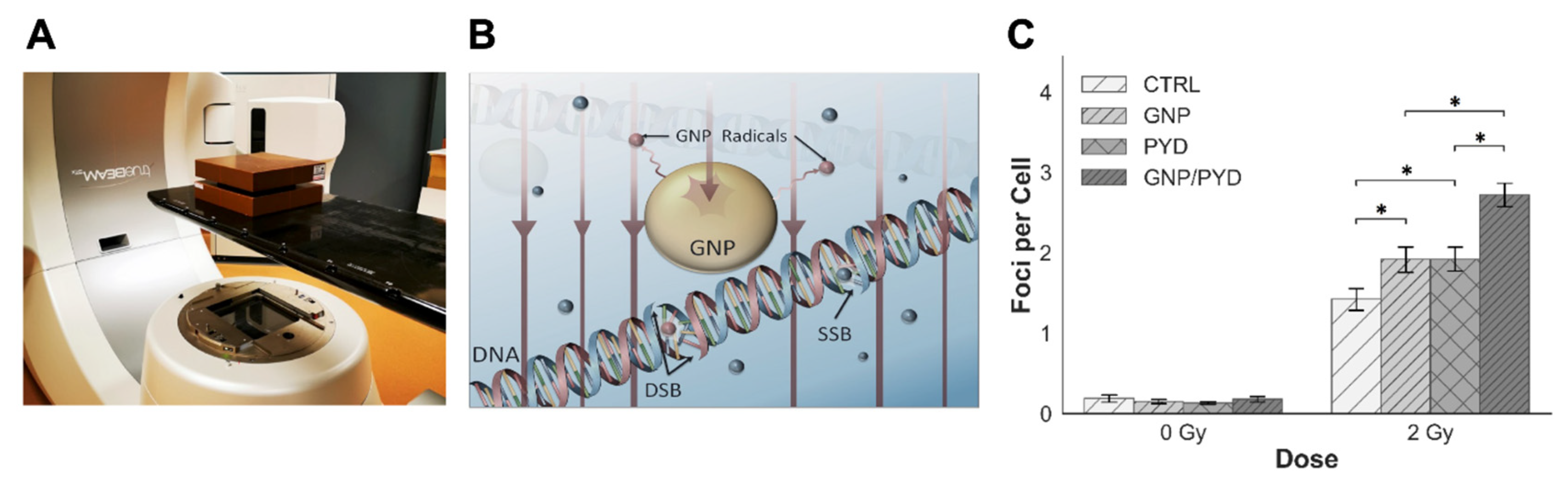 Pharmaceutics 14 02795 g006 Pharmaceutics 14 02795 g006