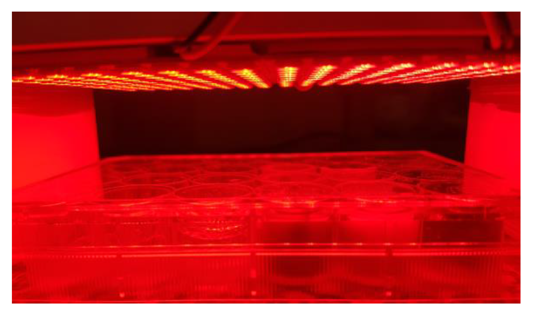 Pharmaceutics 14 02798 g002