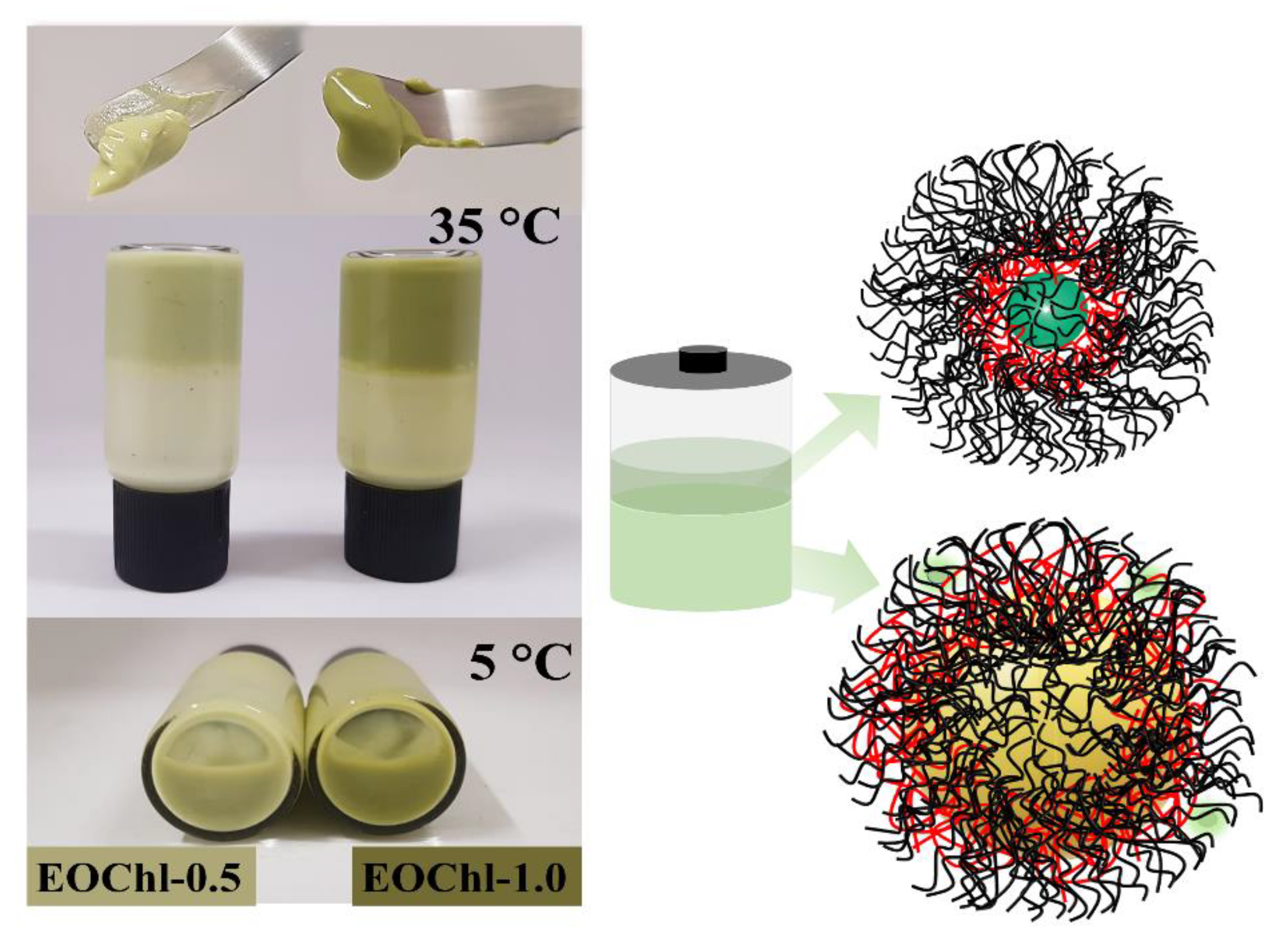 Pharmaceutics 14 02798 g003