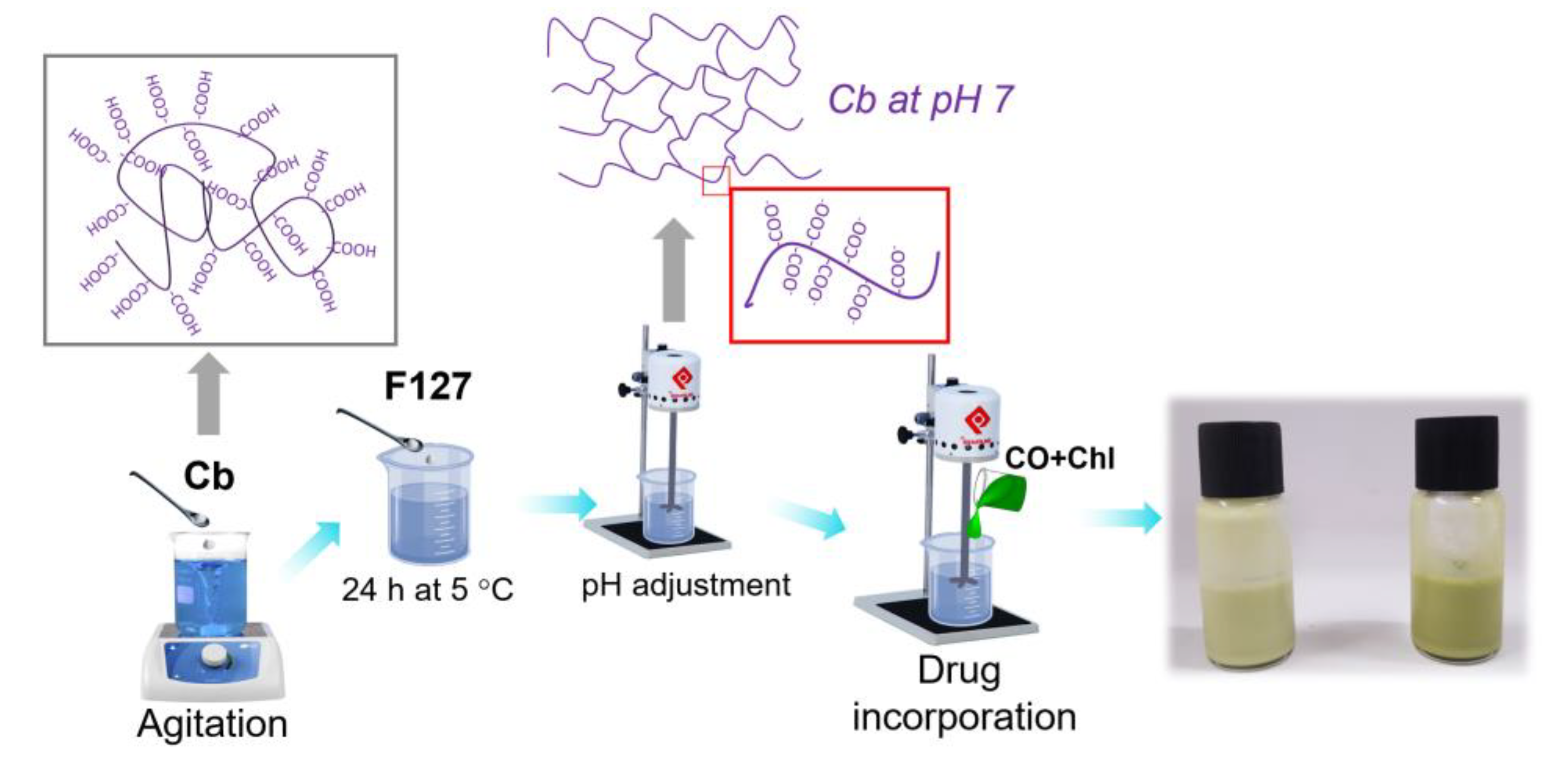 Pharmaceutics 14 02798 sch001