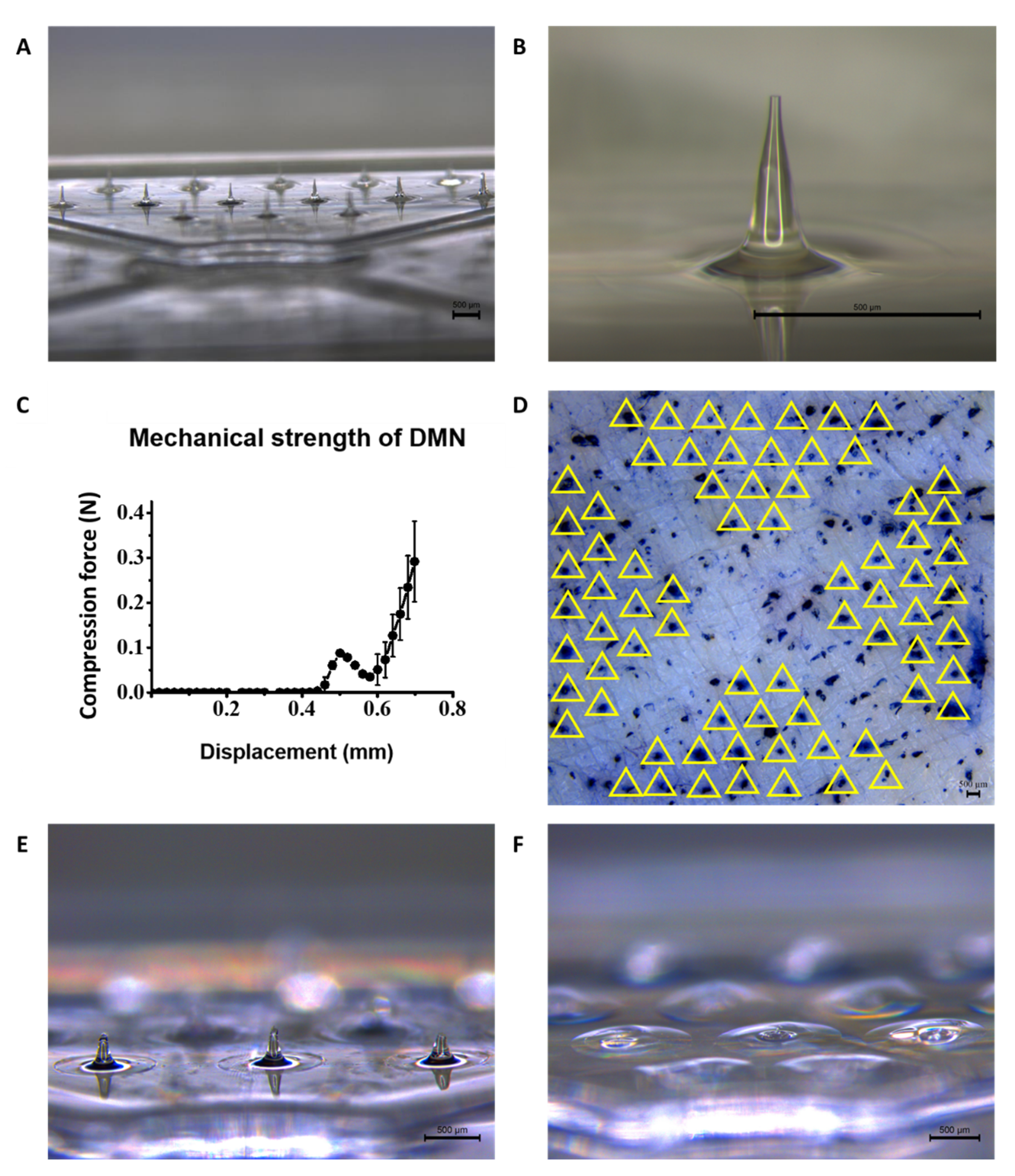 Pharmaceutics 14 02804 g002