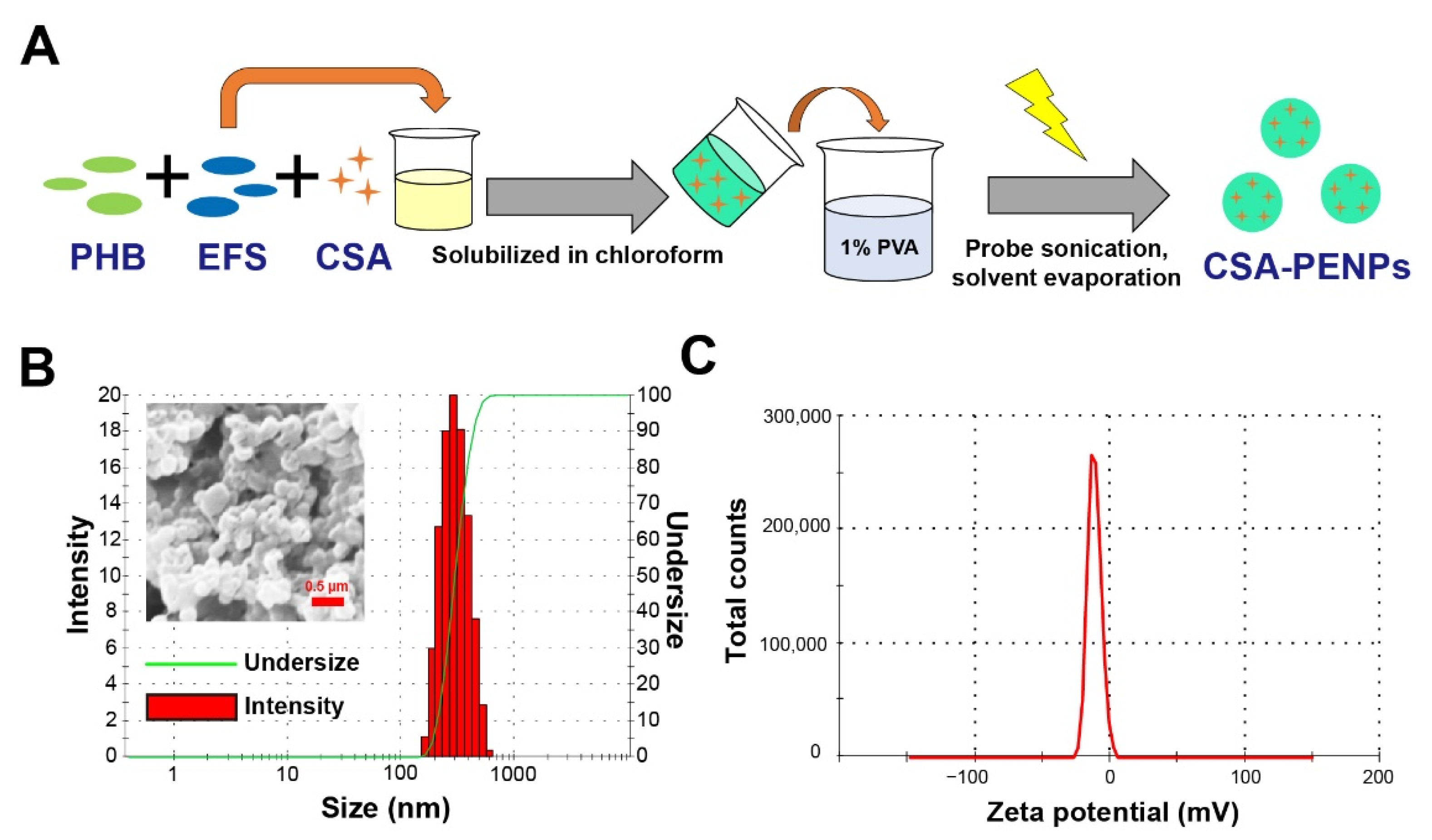 Pharmaceutics 14 02811 g002