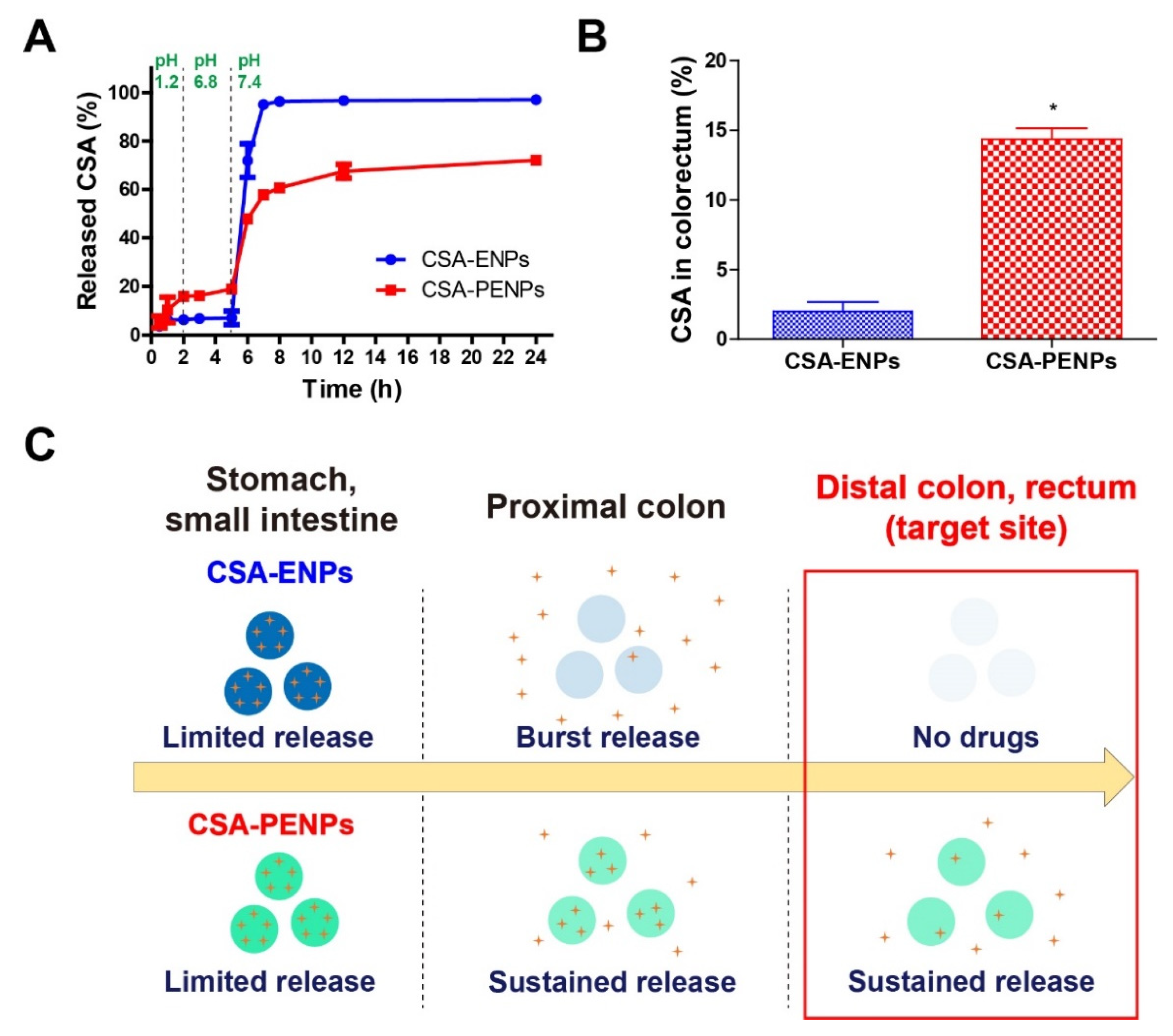 Pharmaceutics 14 02811 g003