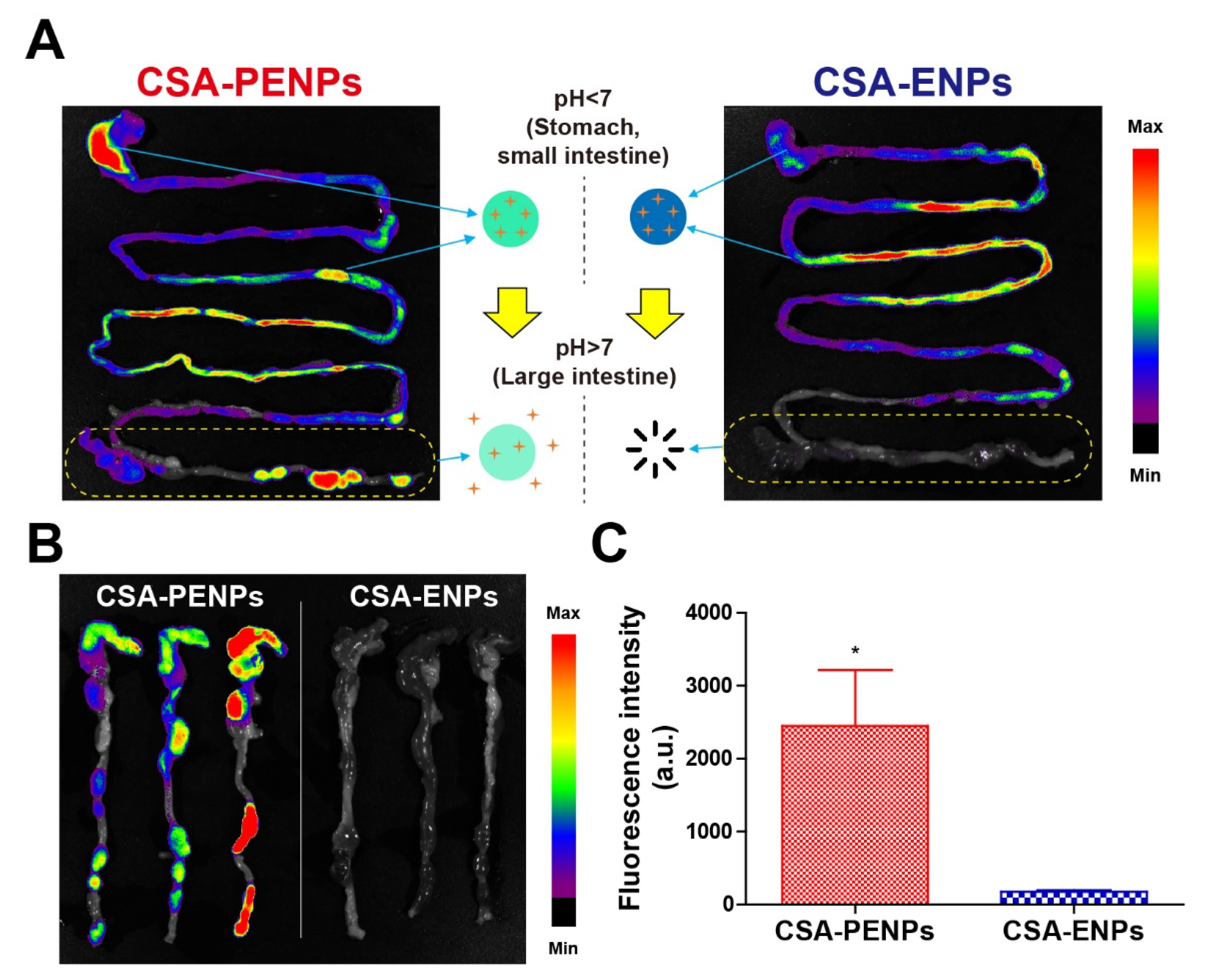 Pharmaceutics 14 02811 g004
