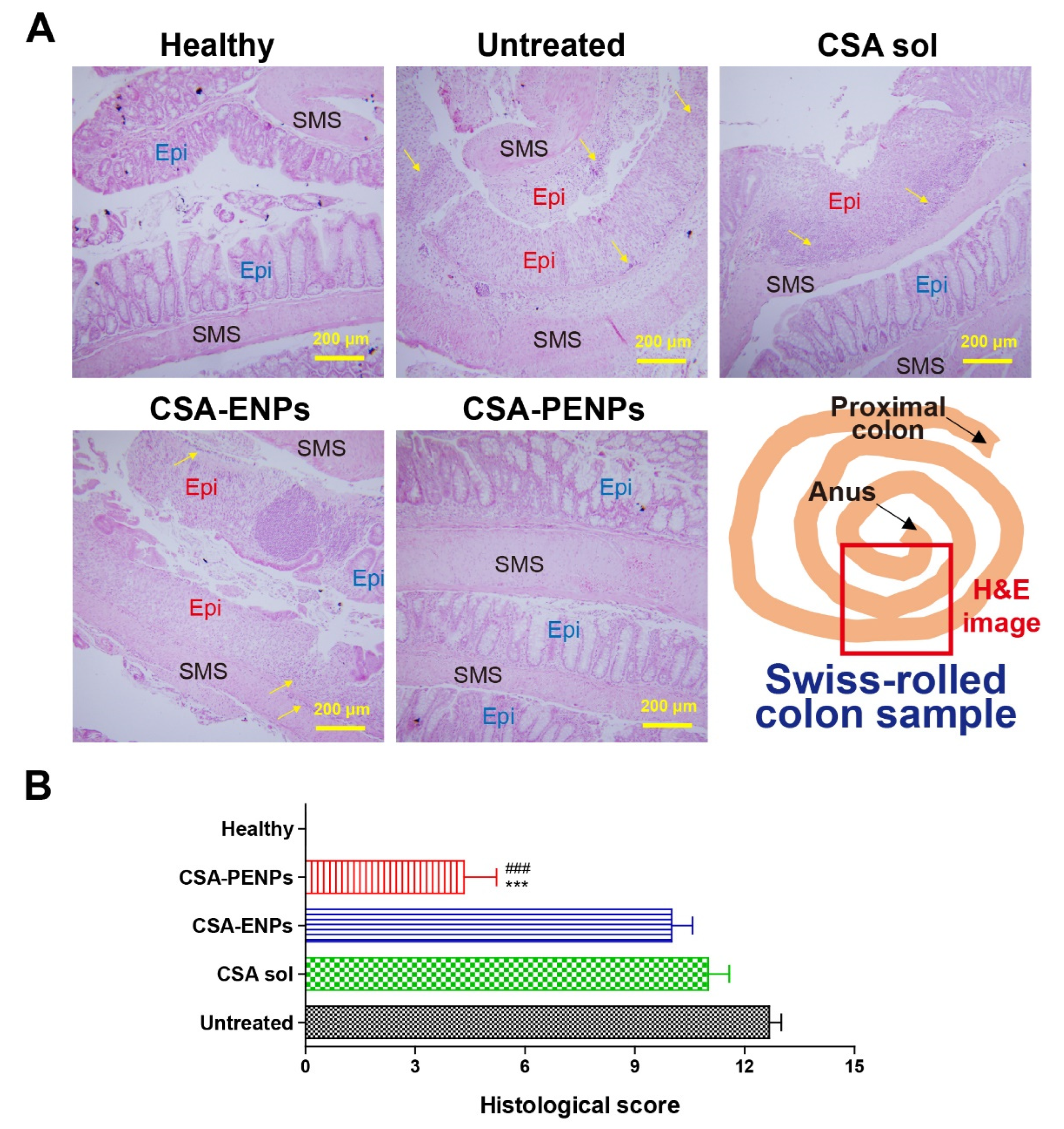 Pharmaceutics 14 02811 g006