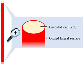 Pharmaceutics 14 02814 i002
