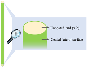 Pharmaceutics 14 02814 i003