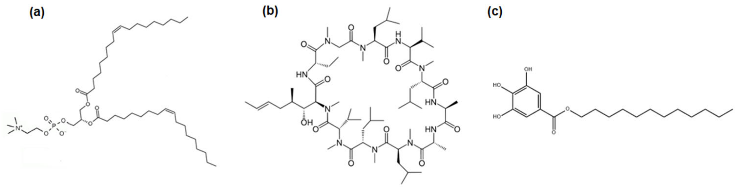 Pharmaceutics 14 02815 g001 Pharmaceutics 14 02815 g001