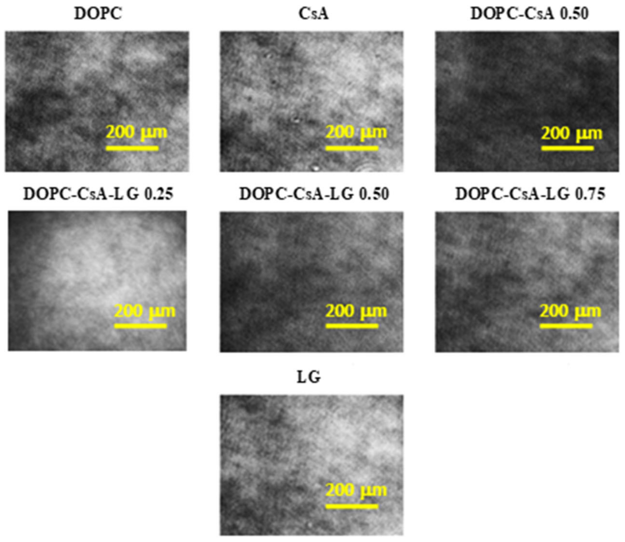 Pharmaceutics 14 02815 g002 Pharmaceutics 14 02815 g002