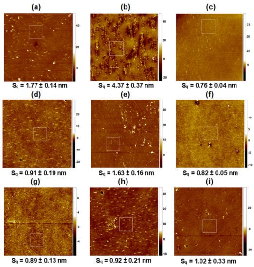 Pharmaceutics 14 02815 g003