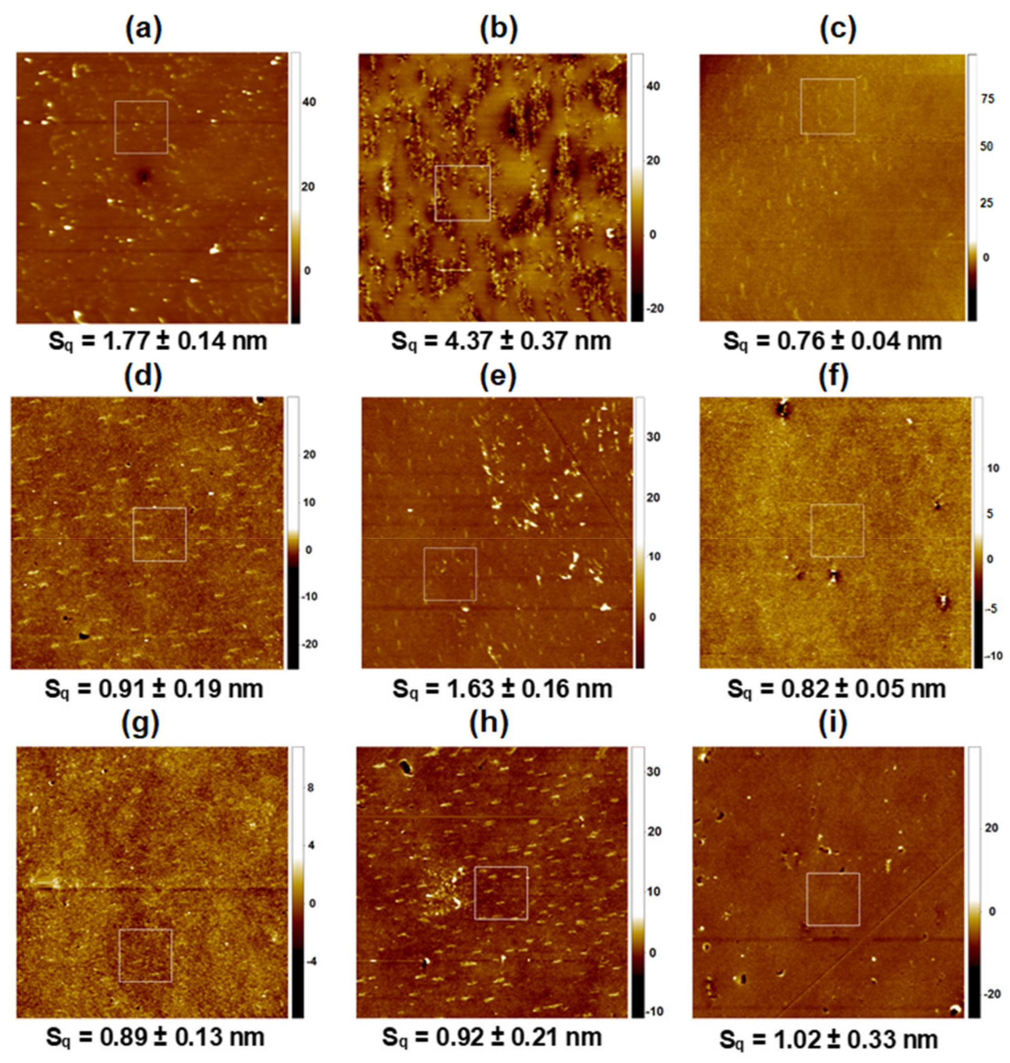 Pharmaceutics 14 02815 g003 Pharmaceutics 14 02815 g003