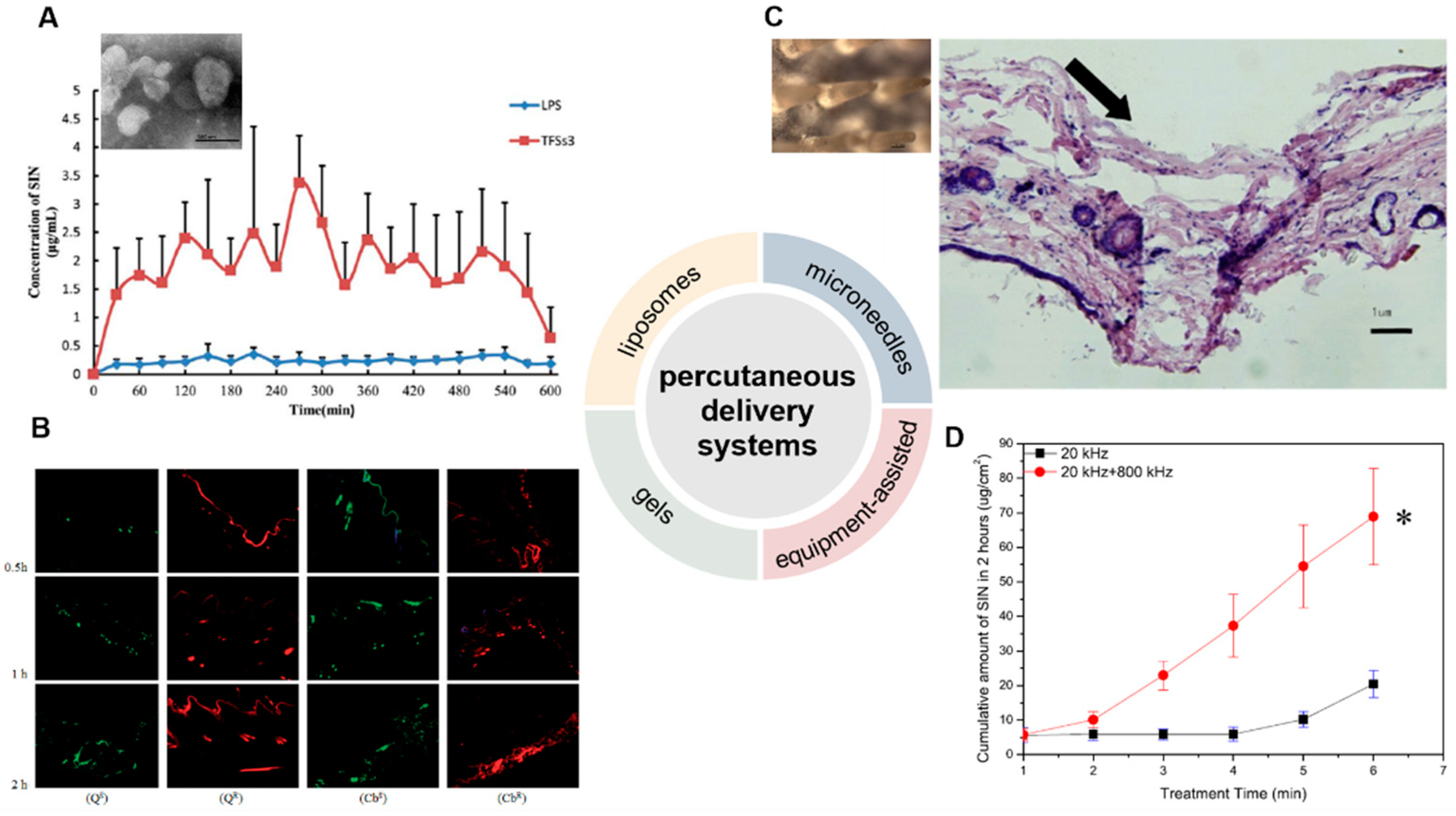 Pharmaceutics 14 02820 g003
