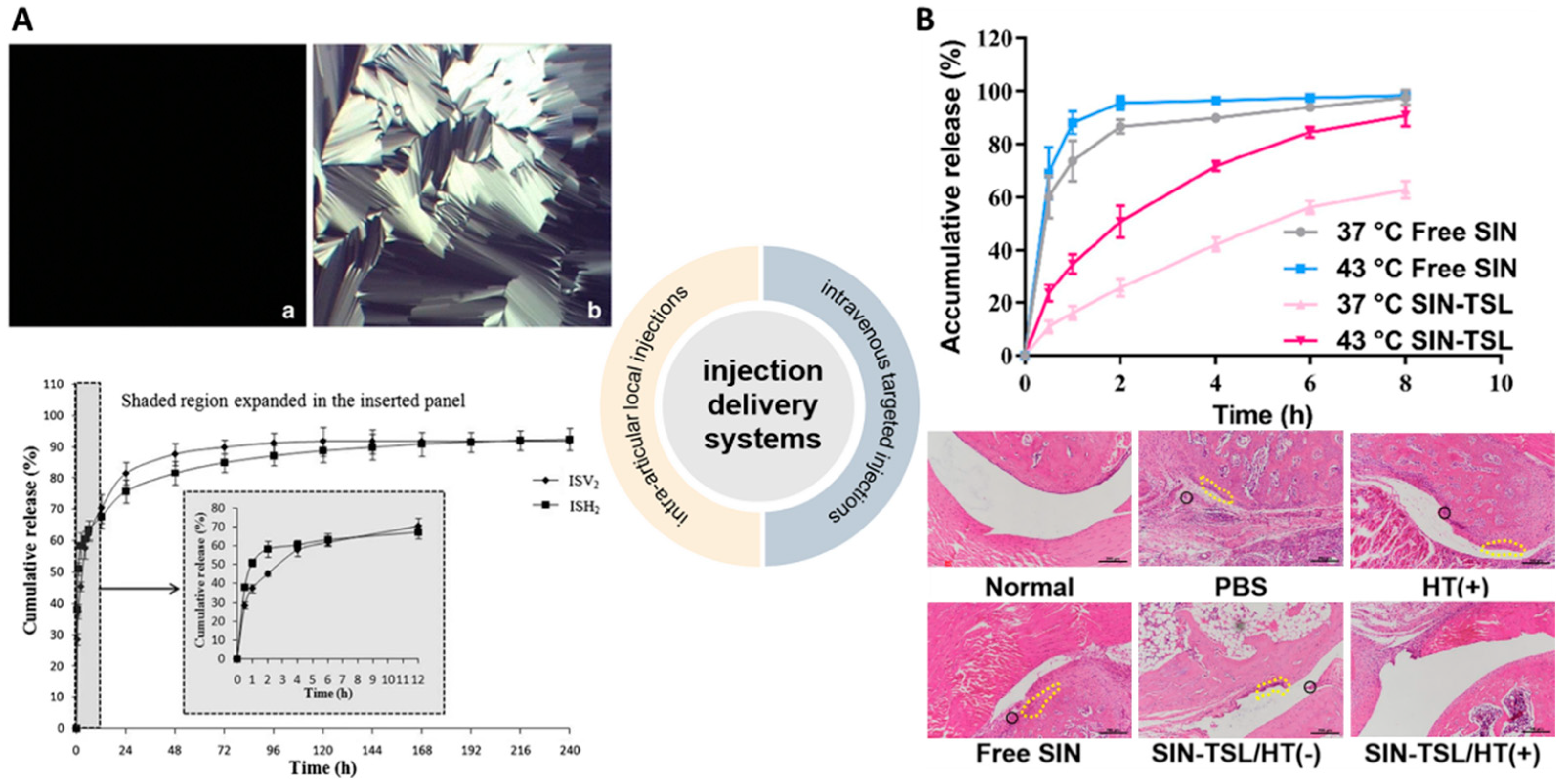 Pharmaceutics 14 02820 g004