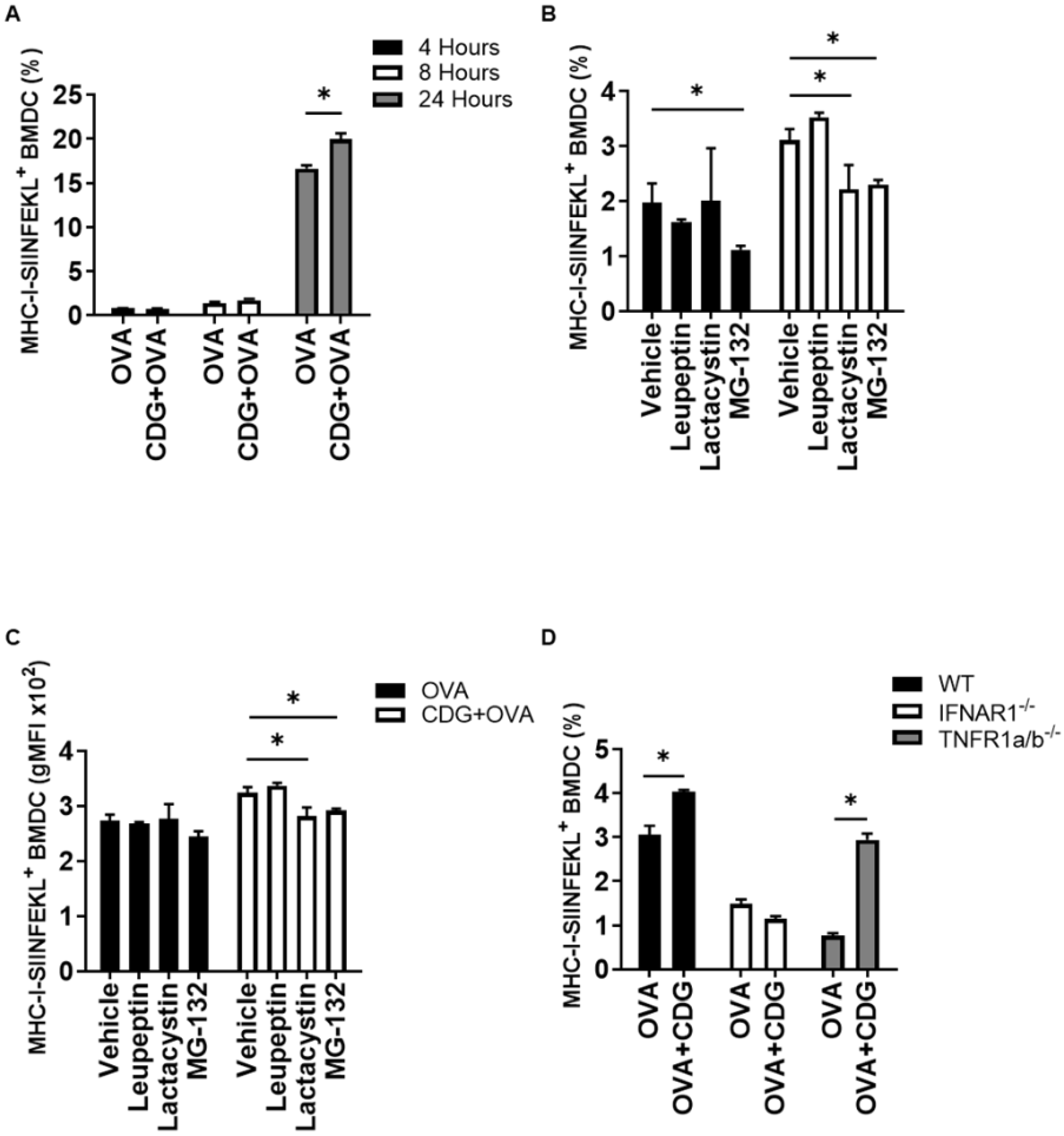 Pharmaceutics 14 02821 g001