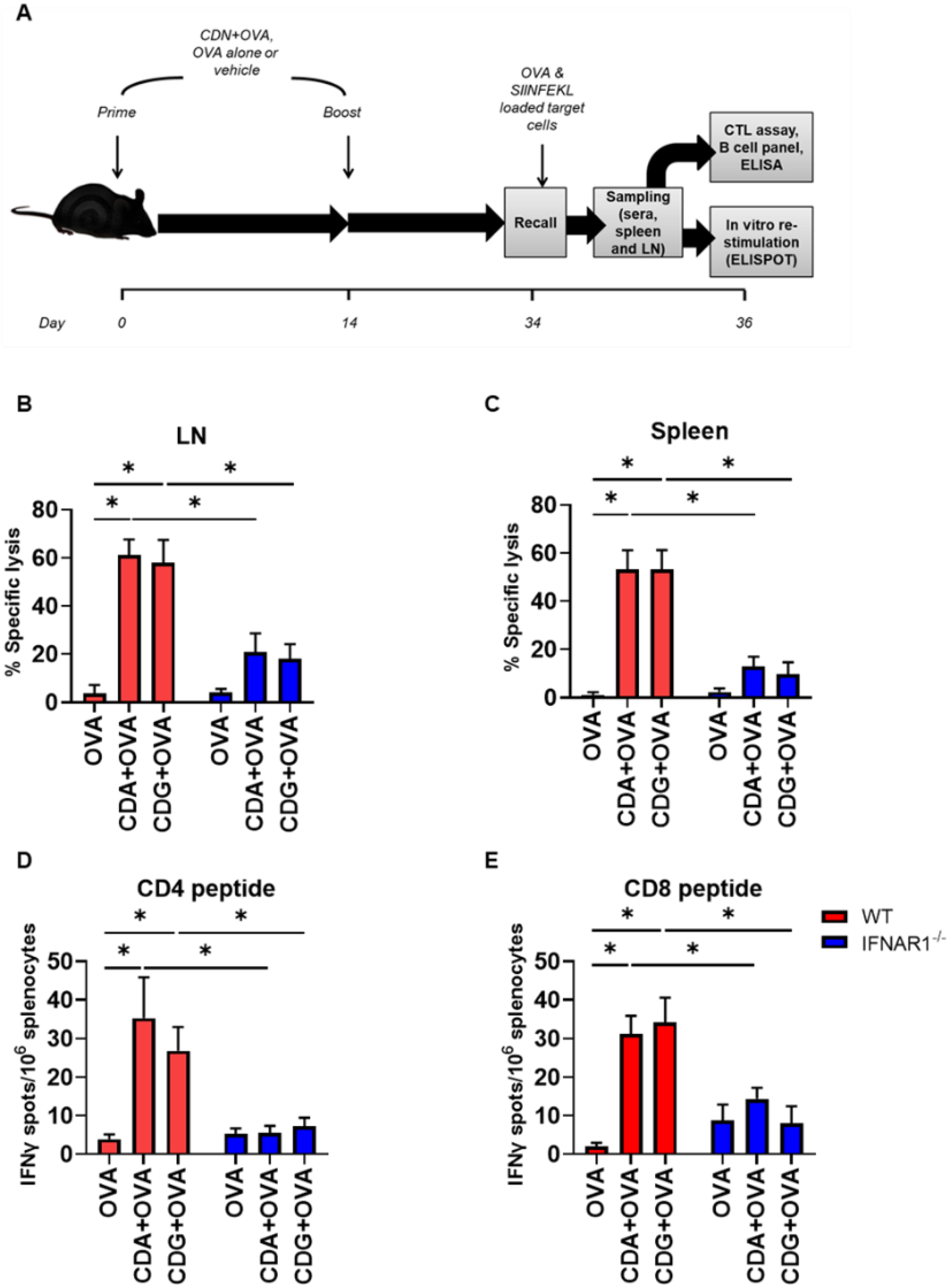 Pharmaceutics 14 02821 g005