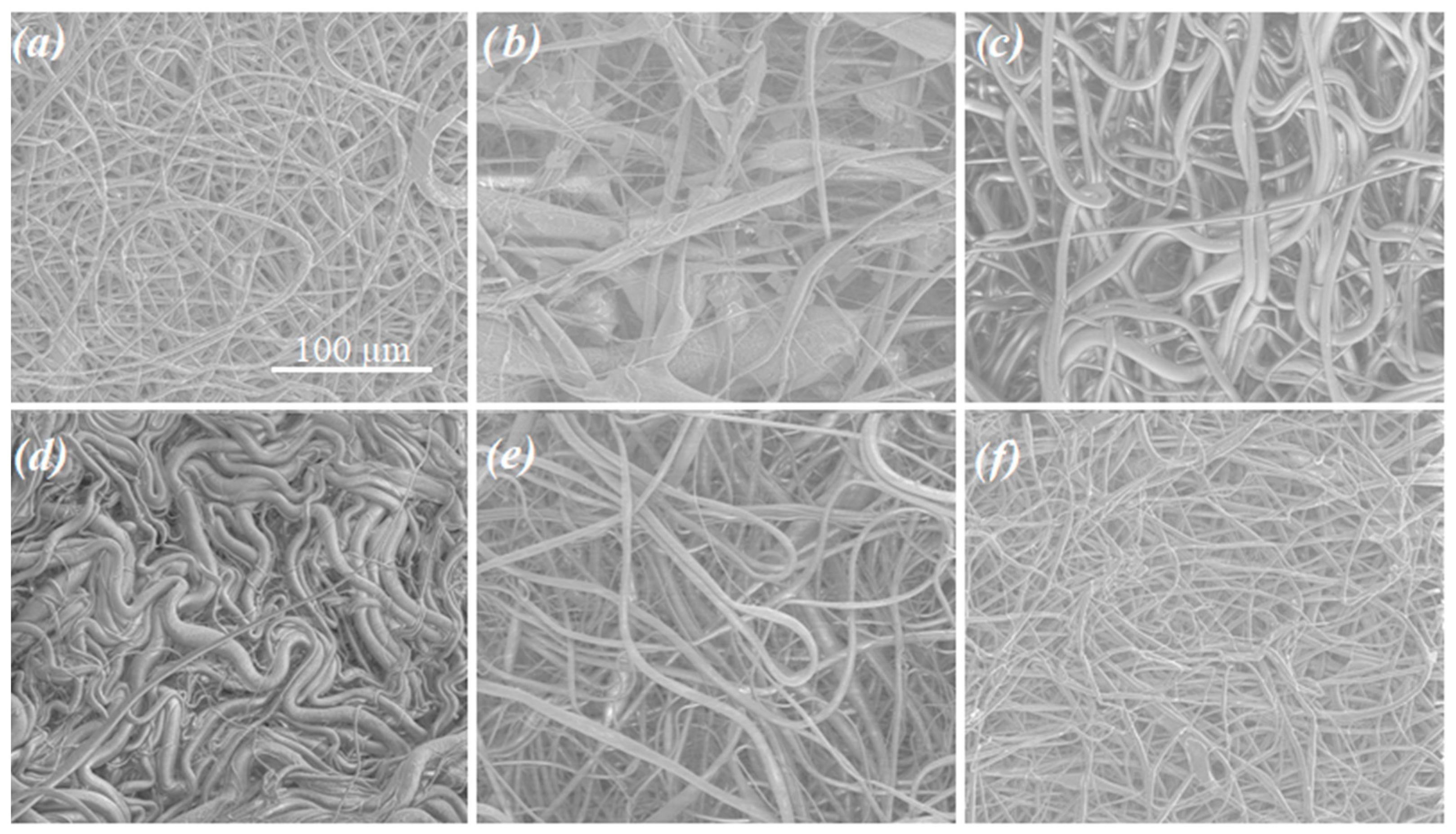 Pharmaceutics 14 02835 g003