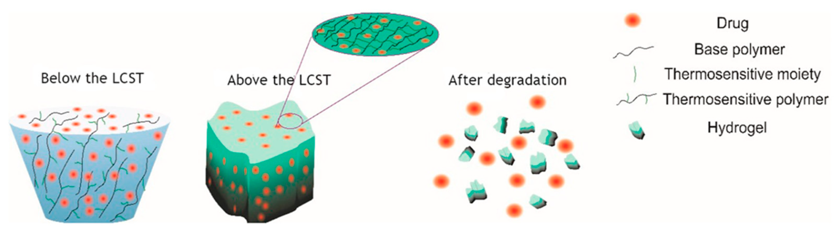 Pharmaceutics 14 02839 g004