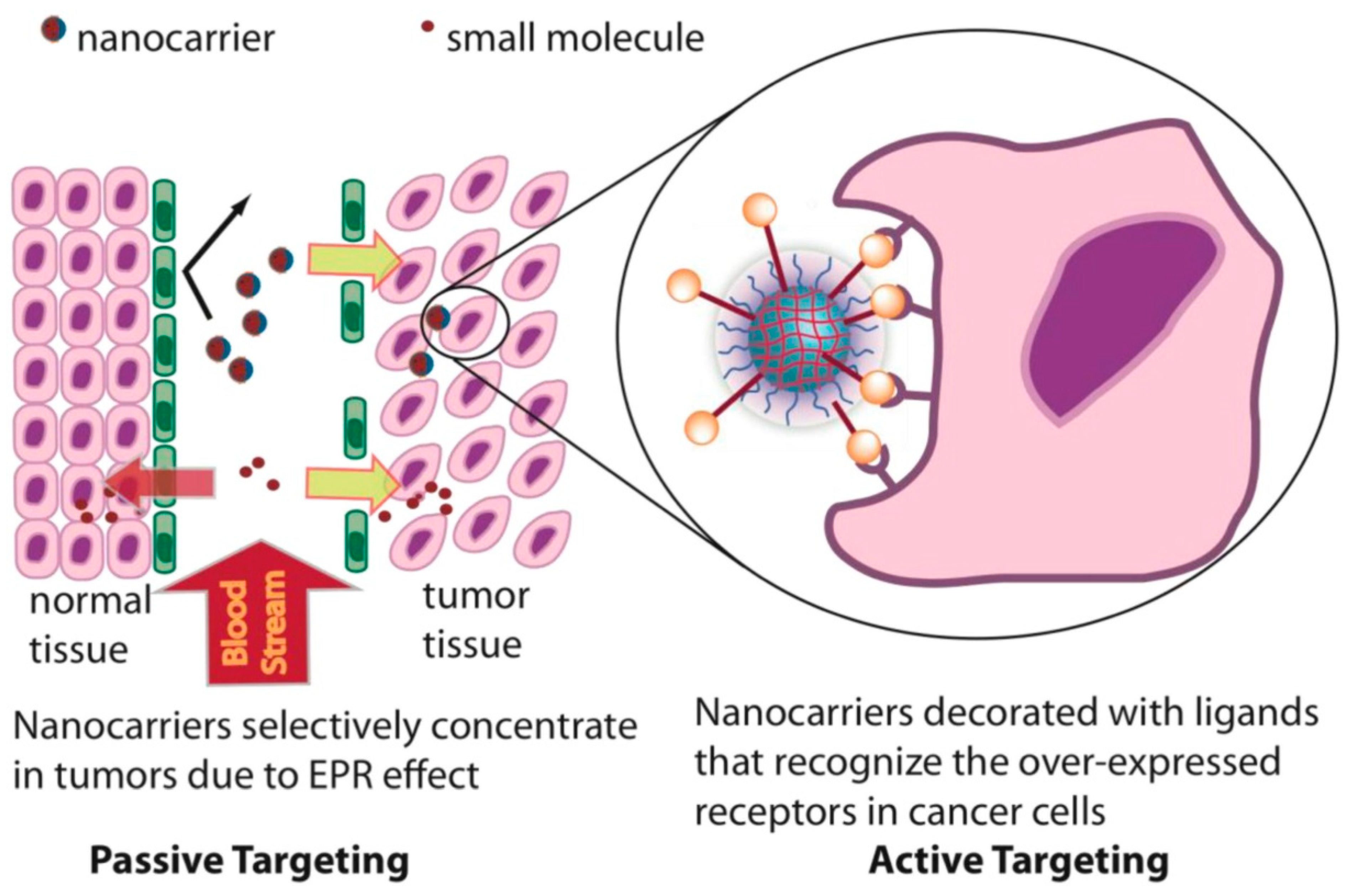 Pharmaceutics 14 02839 g005