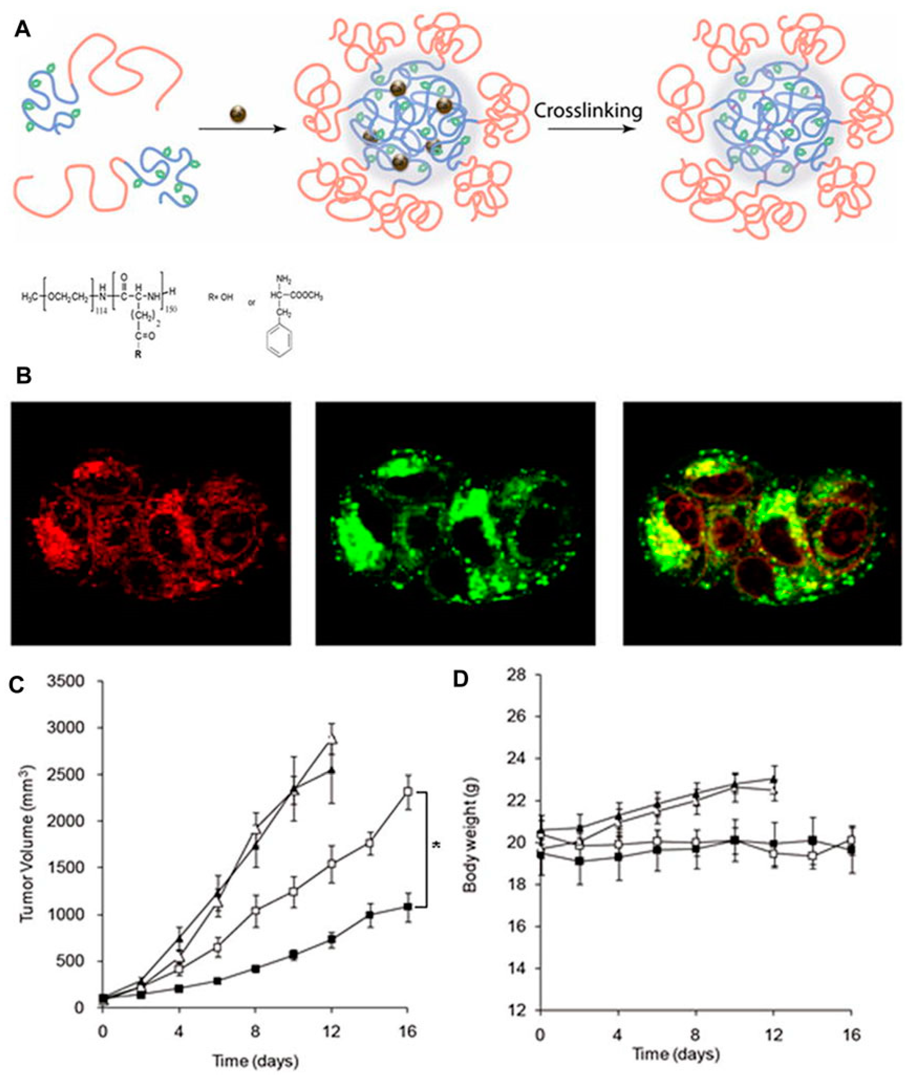 Pharmaceutics 14 02839 g006