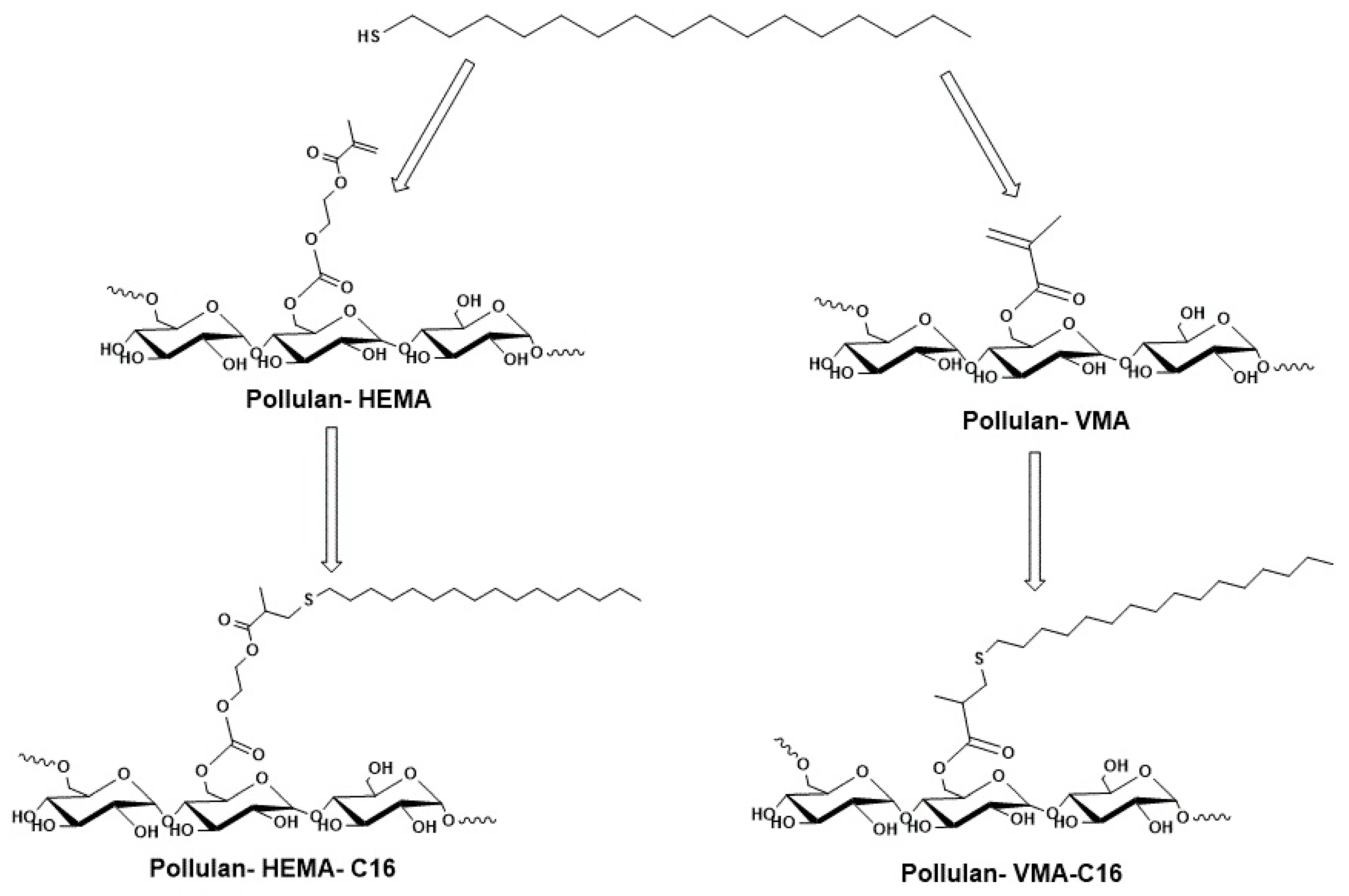 Pharmaceutics 14 02839 sch001