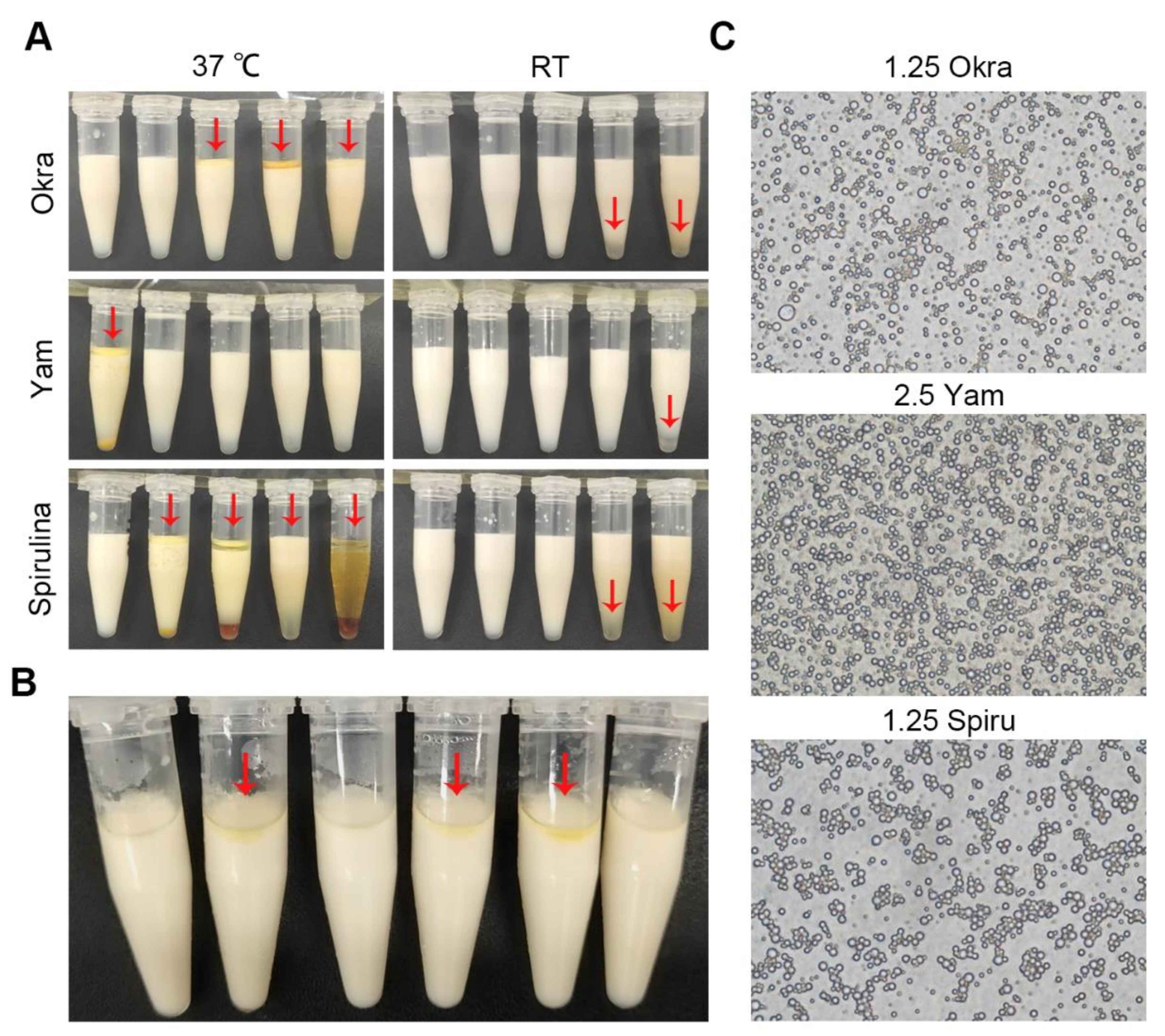 Pharmaceutics 14 02844 g001