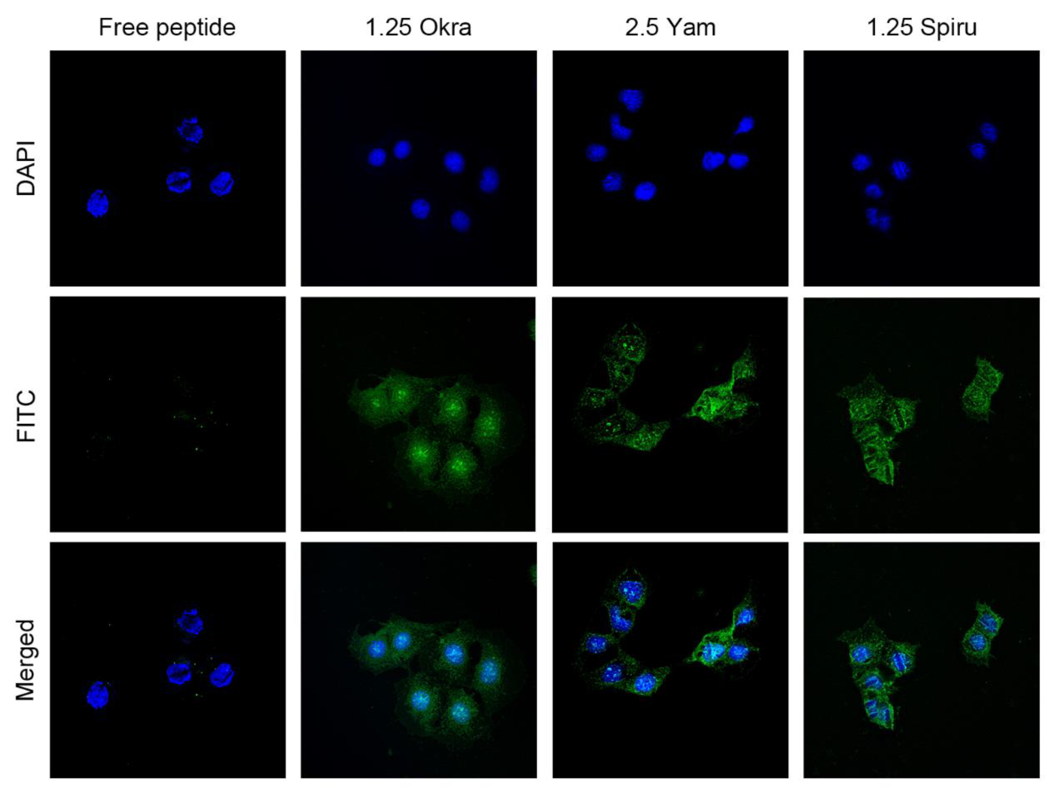 Pharmaceutics 14 02844 g005