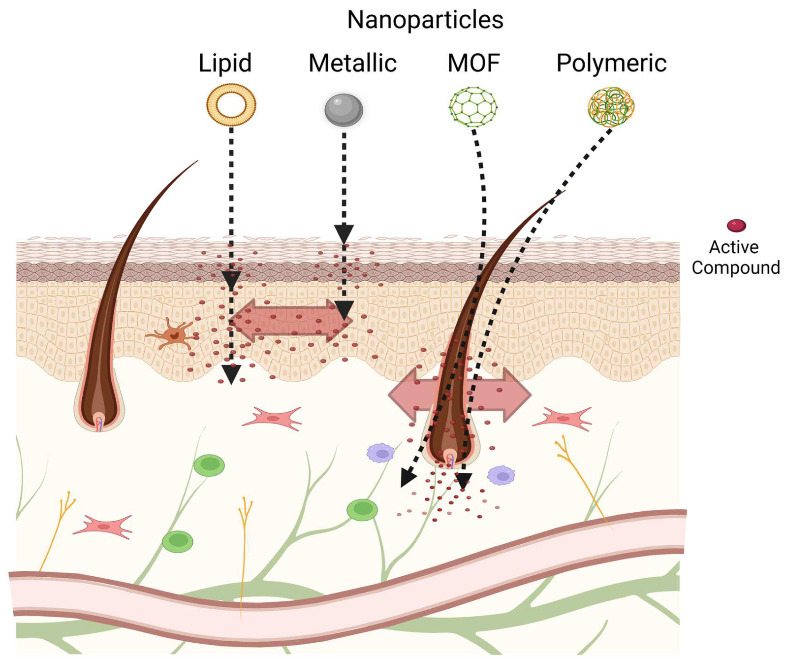 Pharmaceutics 15 00010 g002