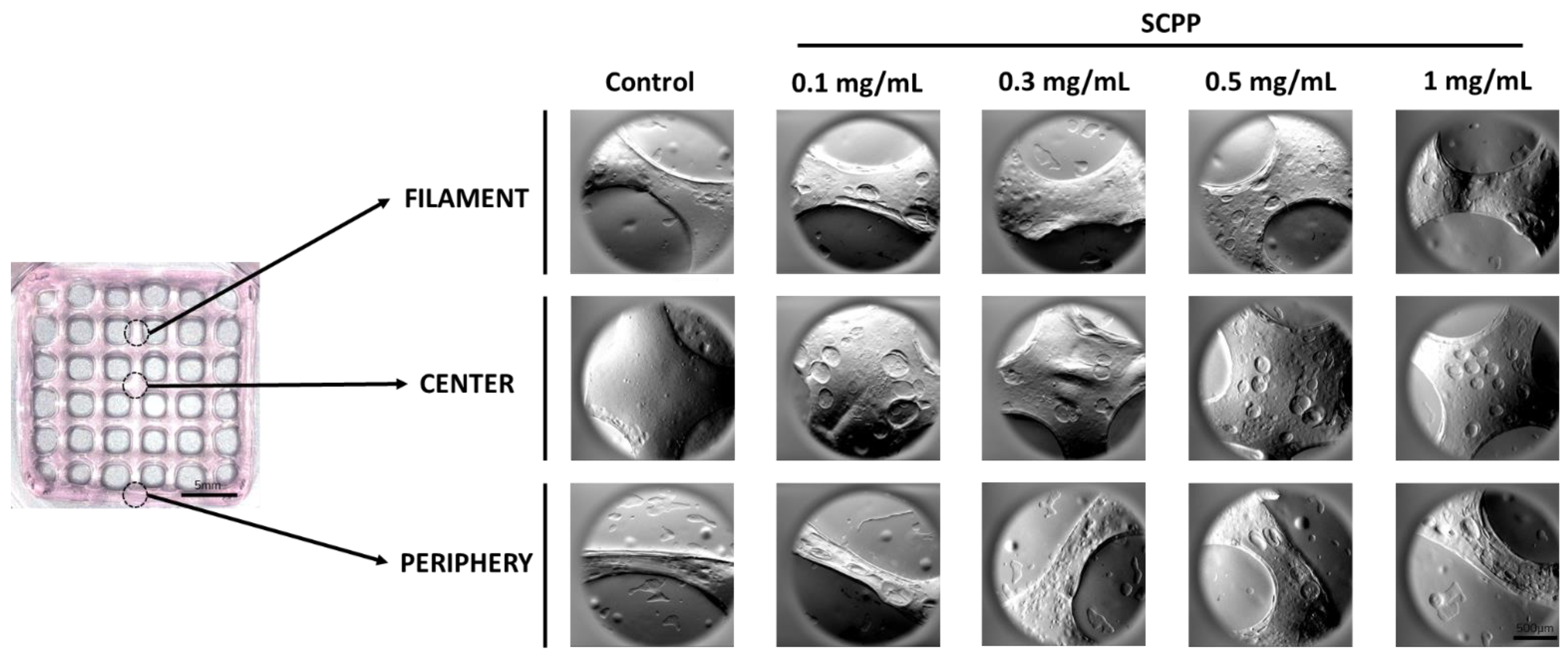 Pharmaceutics 15 00011 g003 Pharmaceutics 15 00011 g003