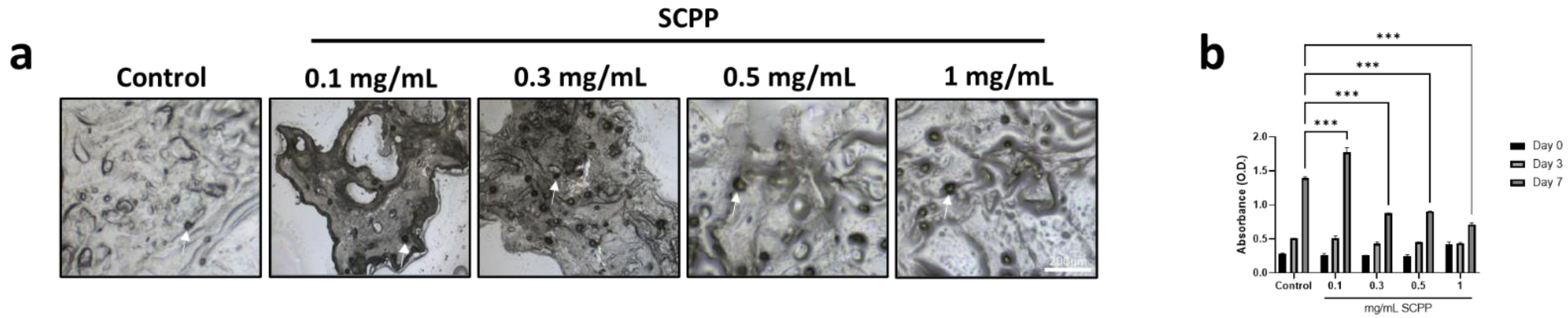 Pharmaceutics 15 00011 g007 Pharmaceutics 15 00011 g007