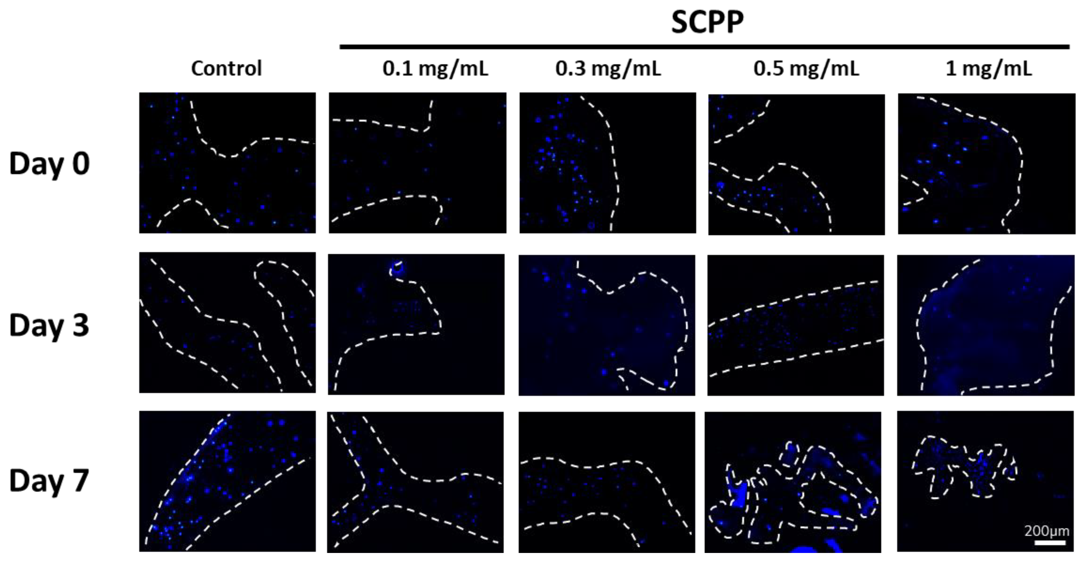 Pharmaceutics 15 00011 g009 Pharmaceutics 15 00011 g009
