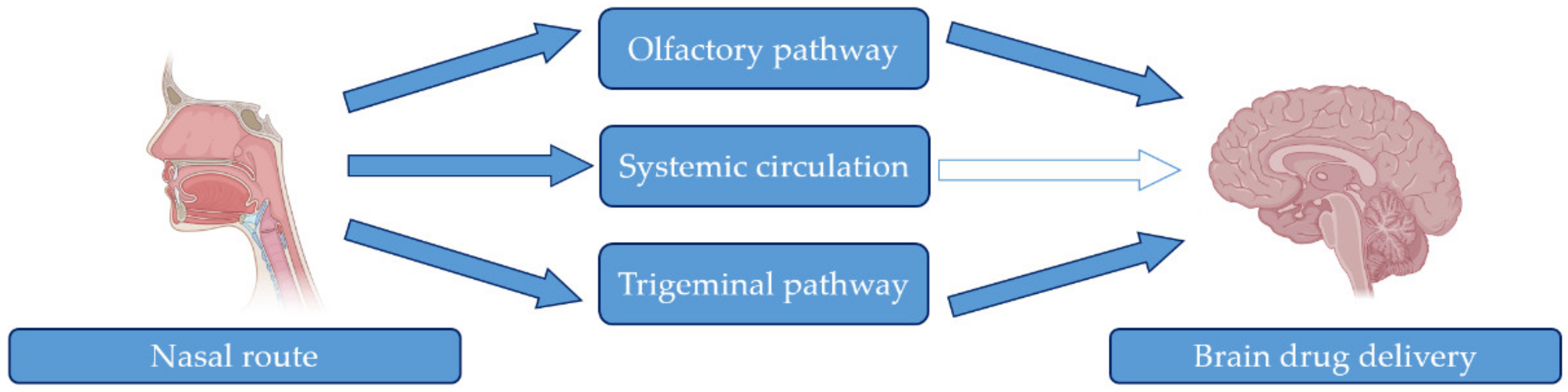 Pharmaceutics 15 00013 g005