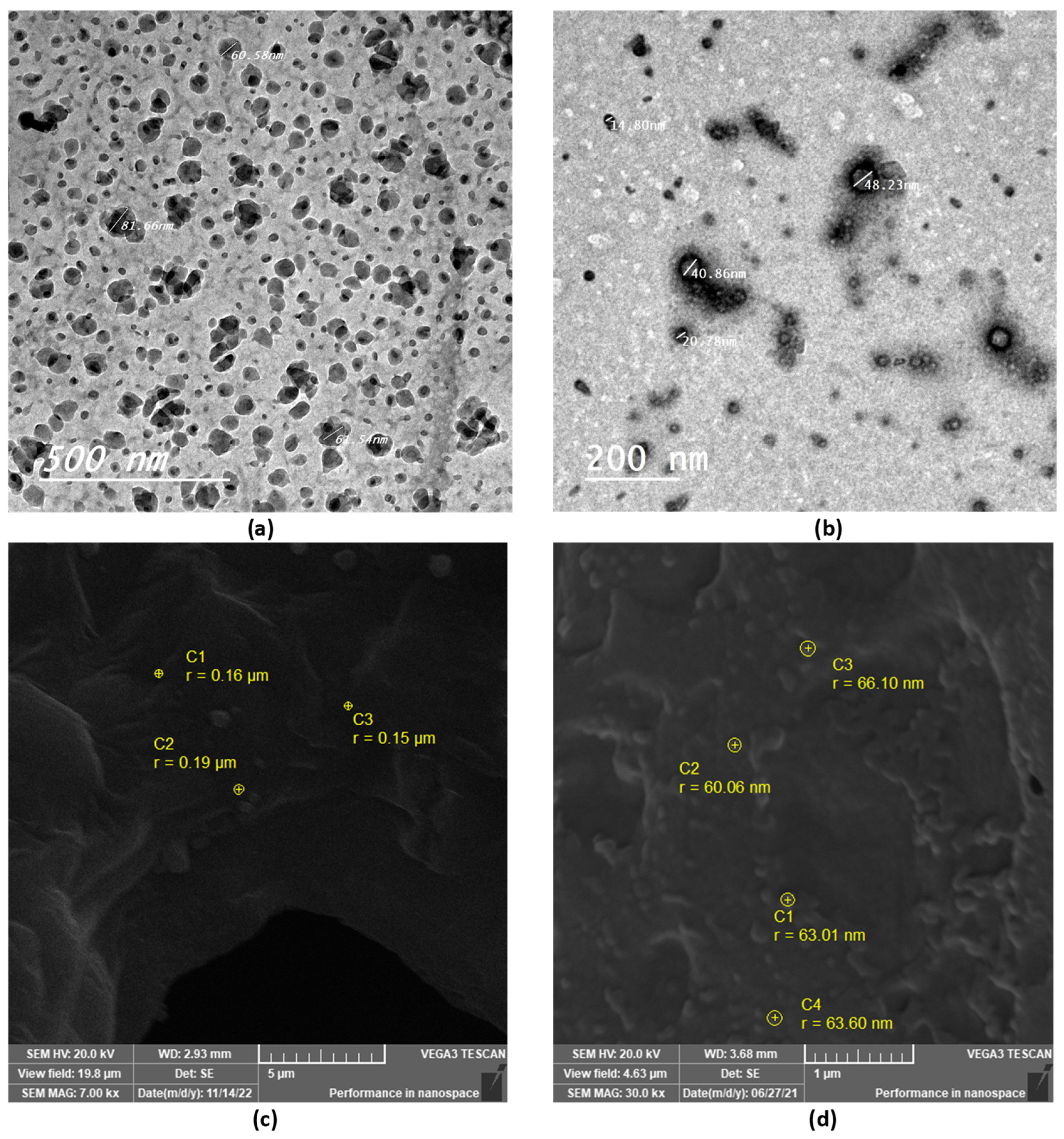 Pharmaceutics 15 00019 g002