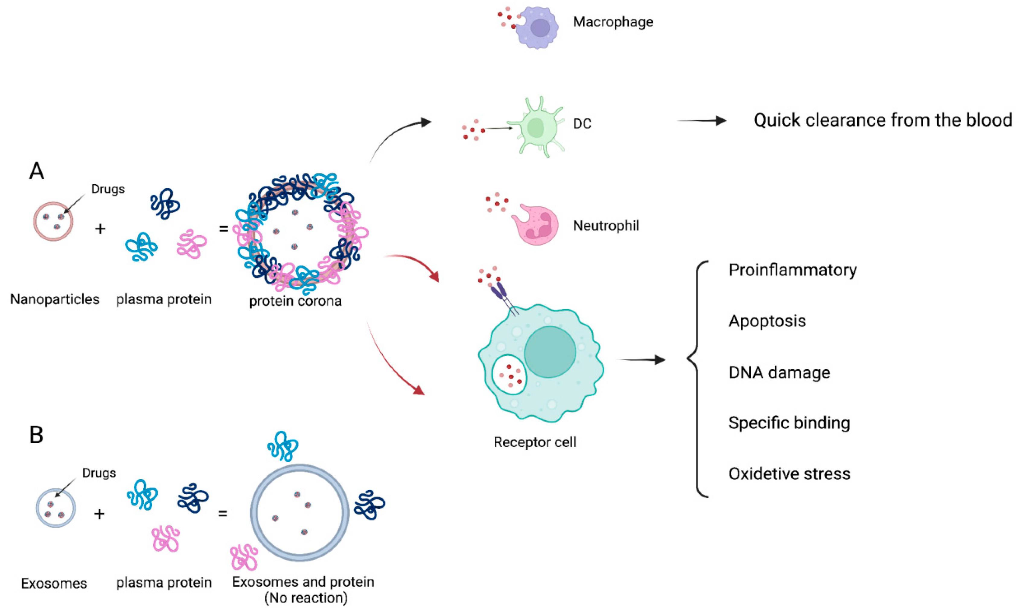 Pharmaceutics 15 00021 g002 Pharmaceutics 15 00021 g002
